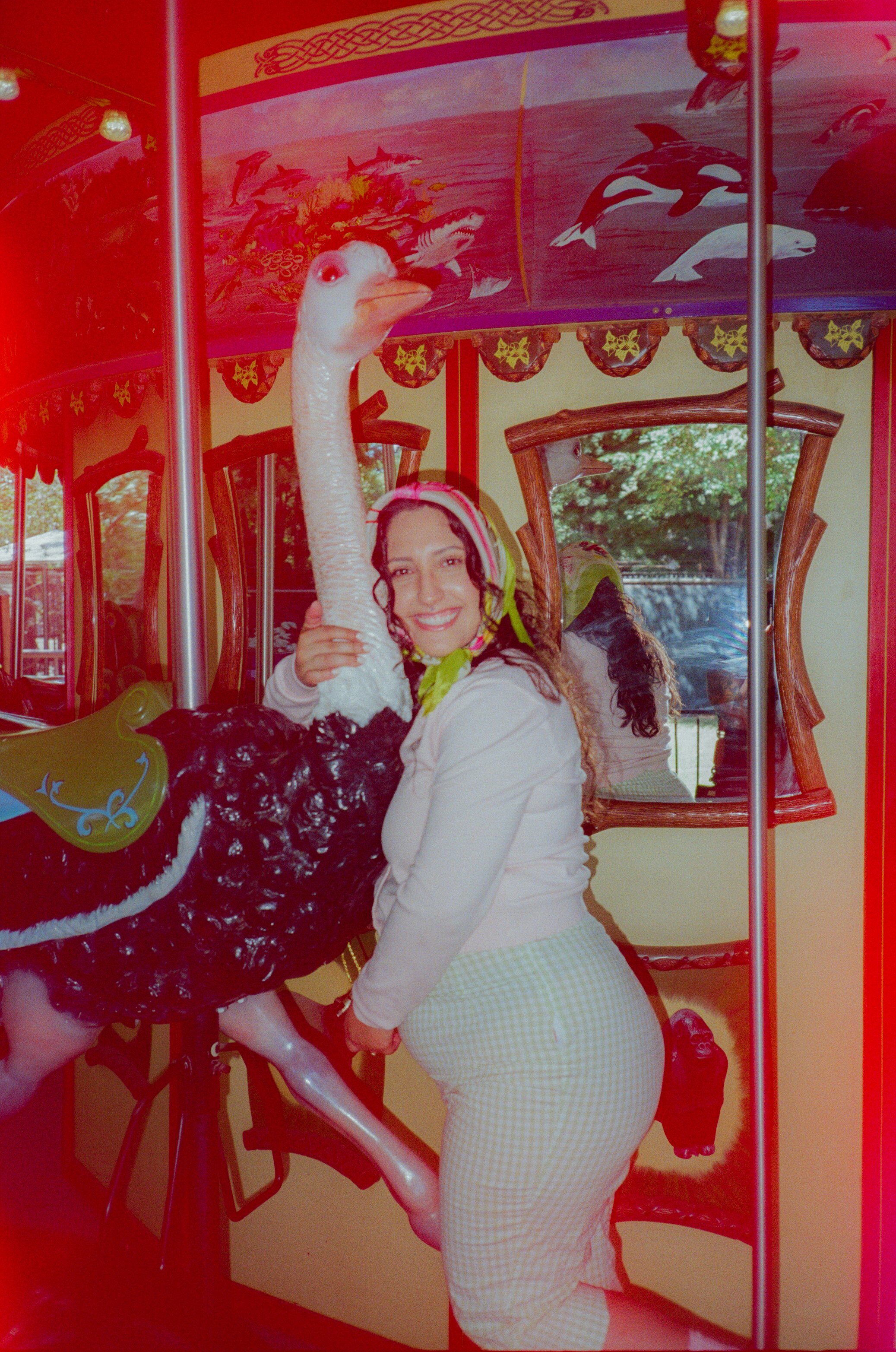 Dirty Bird Goes Bird Watching Film 20.jpg