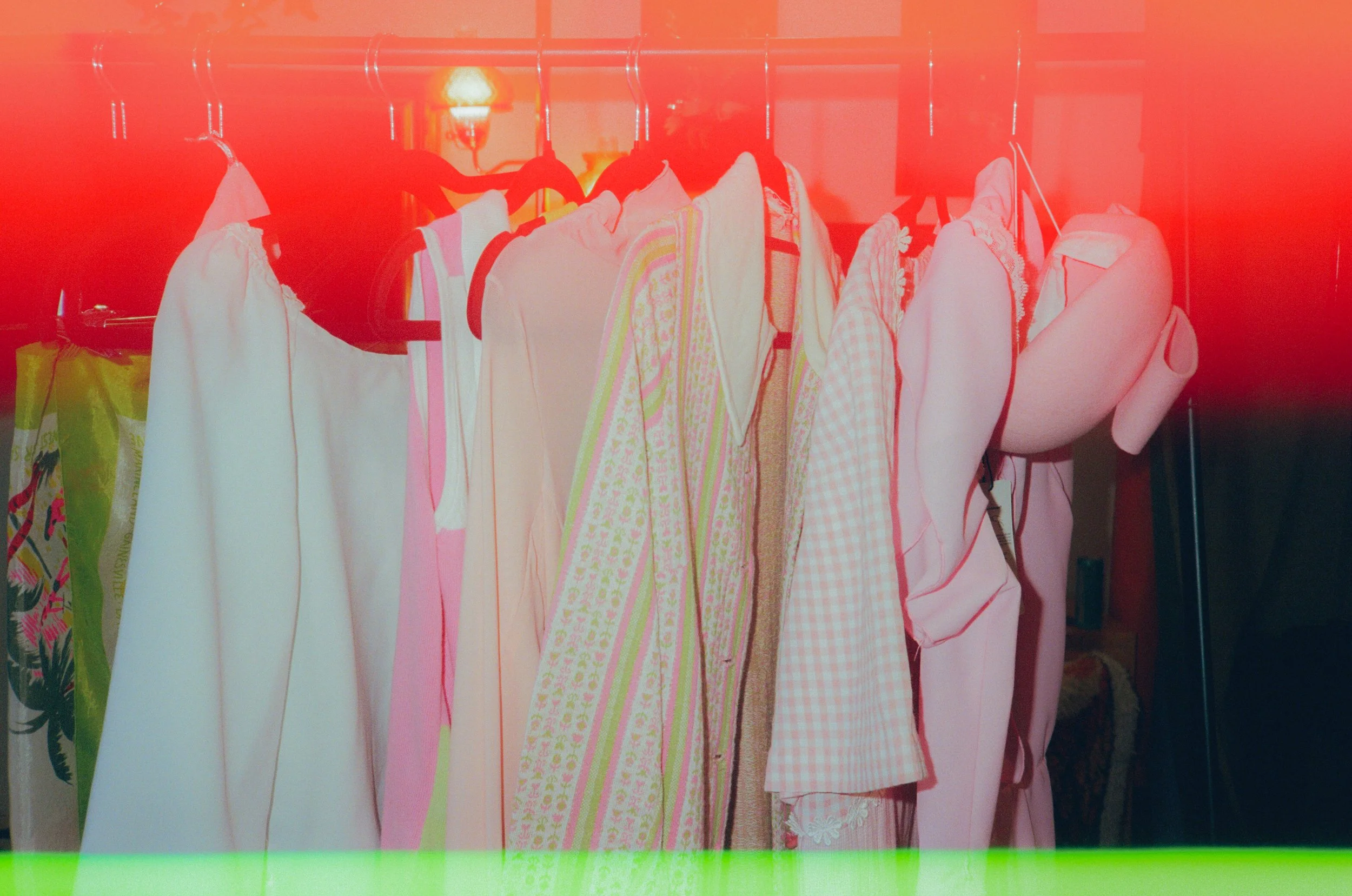 Dirty Bird Goes Bird Watching Film 29.jpg