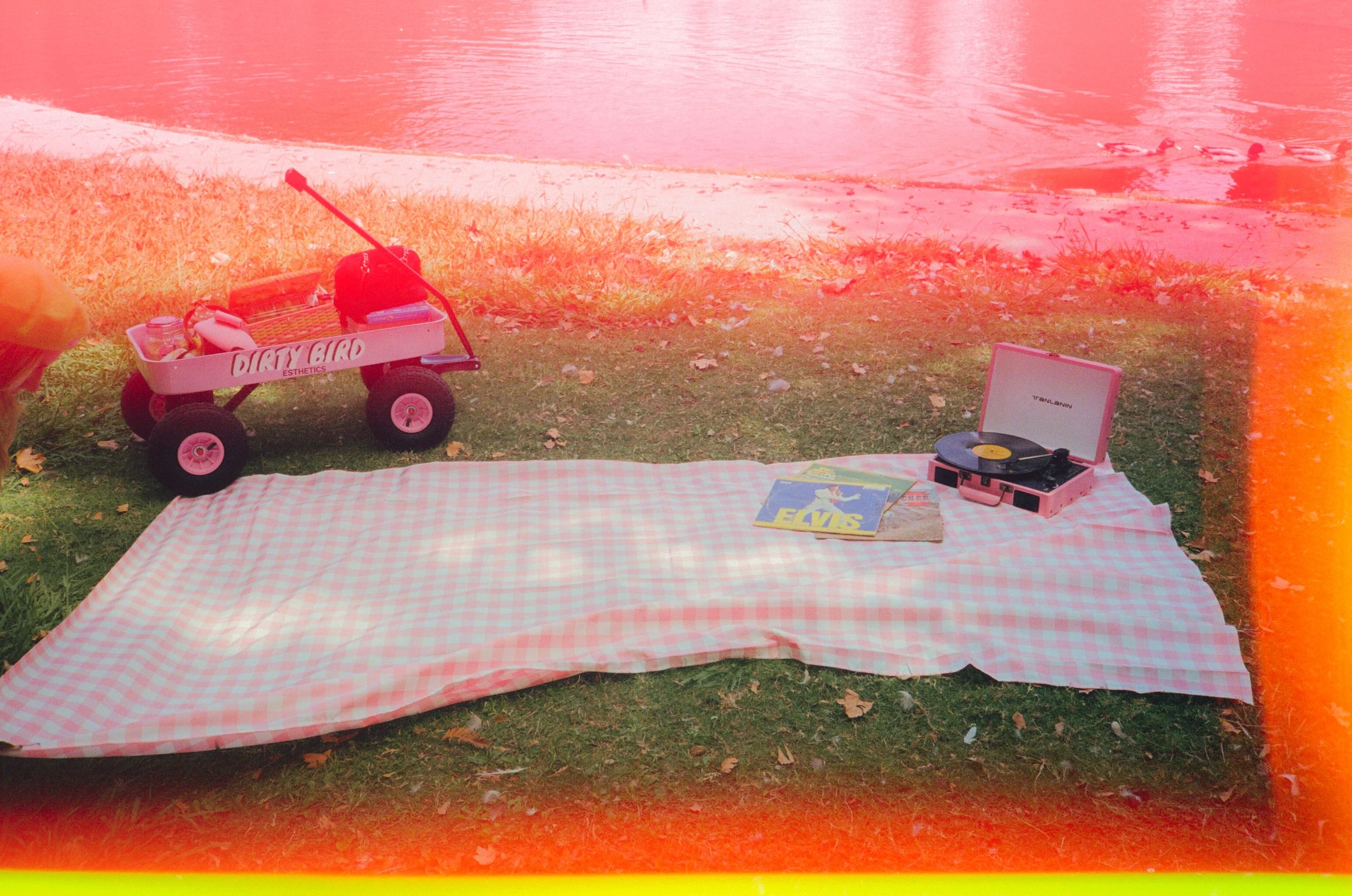 Dirty Bird Goes Bird Watching Film 47.jpg