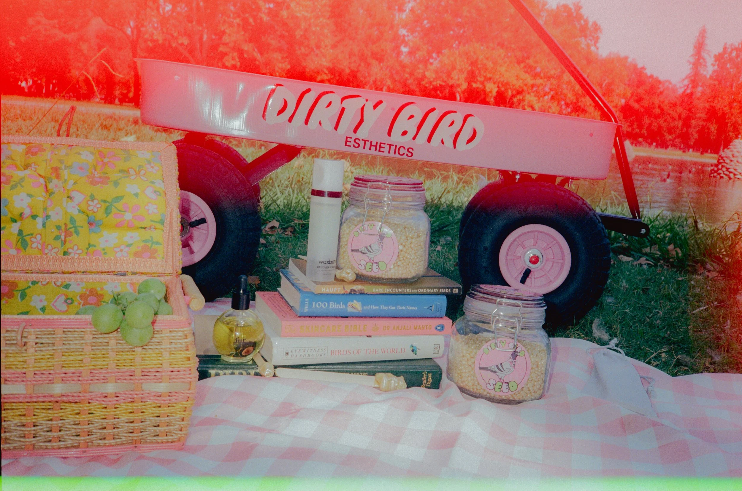 Dirty Bird Goes Bird Watching Film 49.jpg