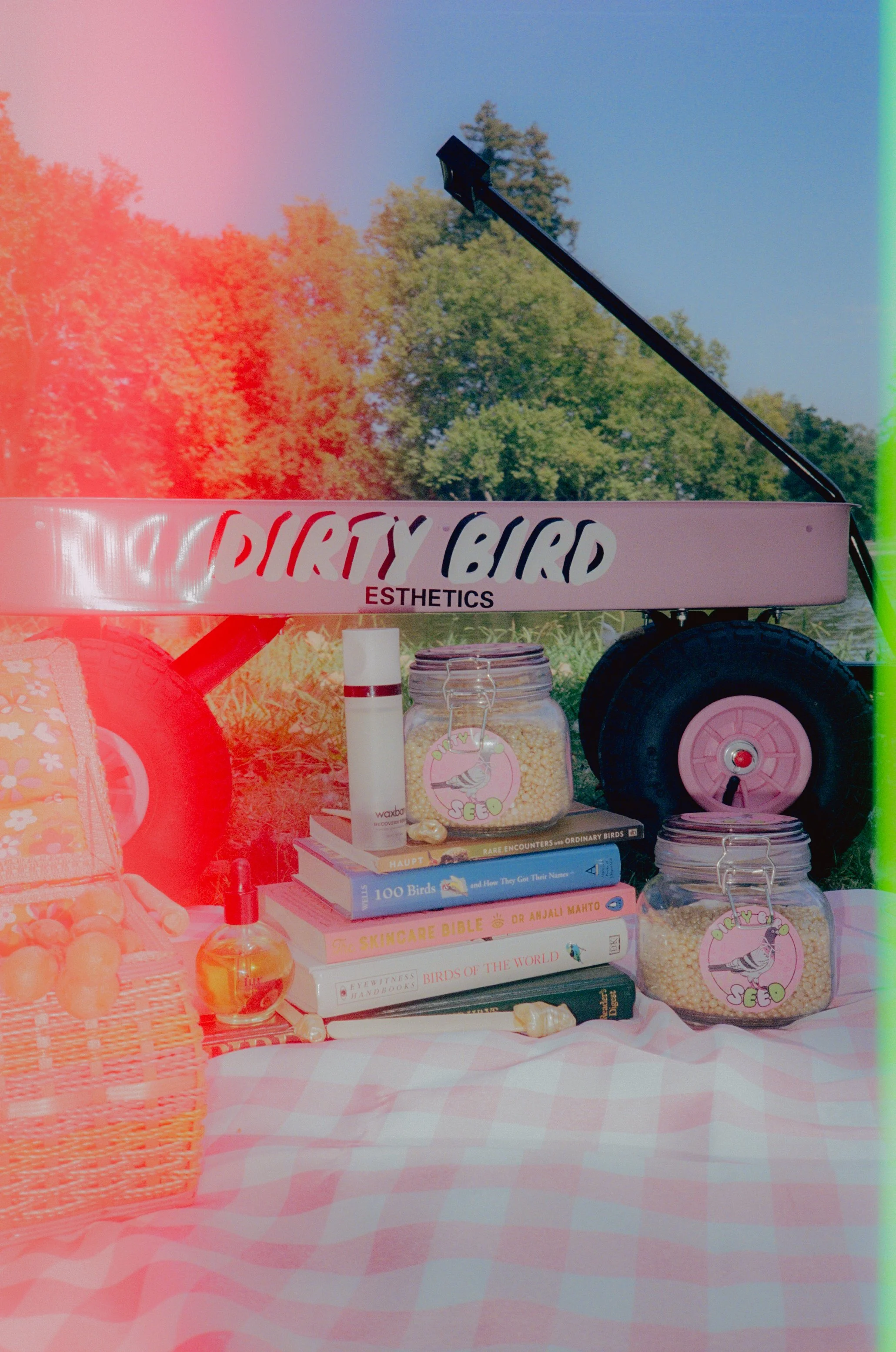 Dirty Bird Goes Bird Watching Film 50.jpg