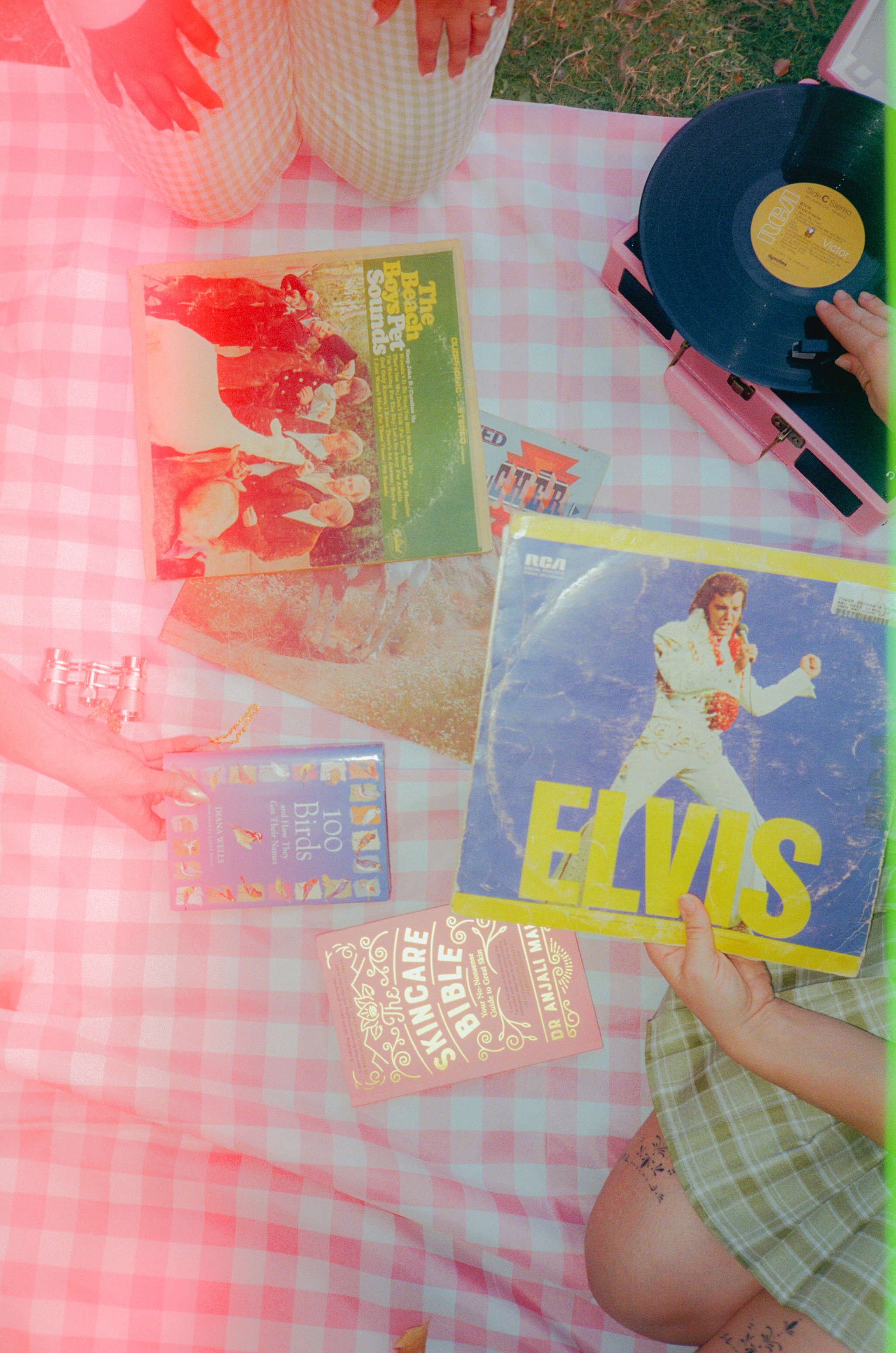 Dirty Bird Goes Bird Watching Film 53.jpg