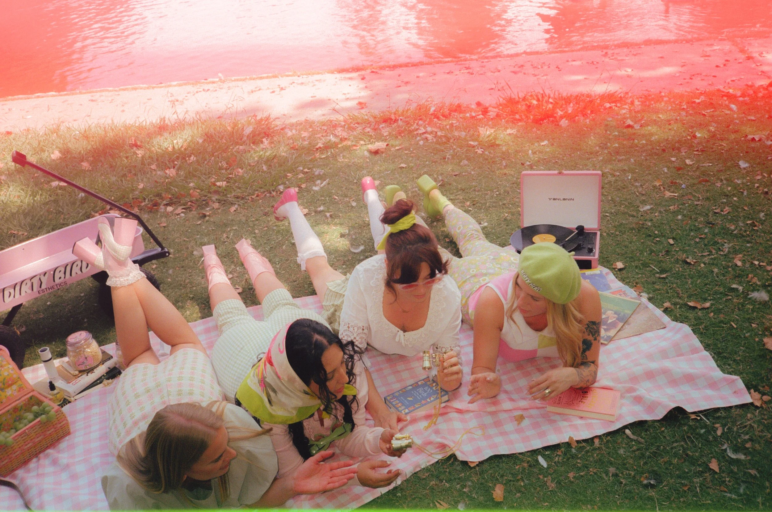 Dirty Bird Goes Bird Watching Film 55.jpg