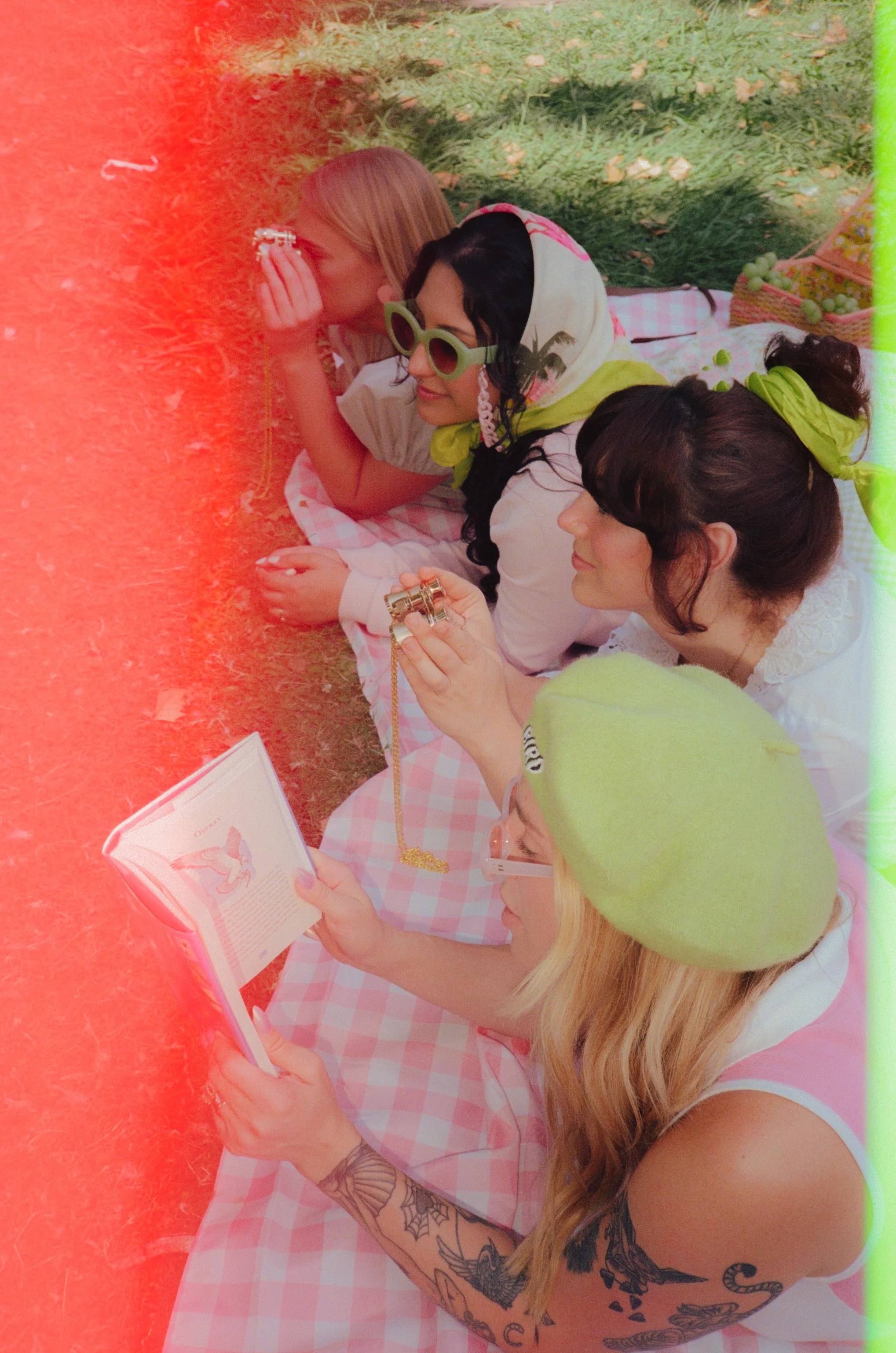 Dirty Bird Goes Bird Watching Film 58.jpg