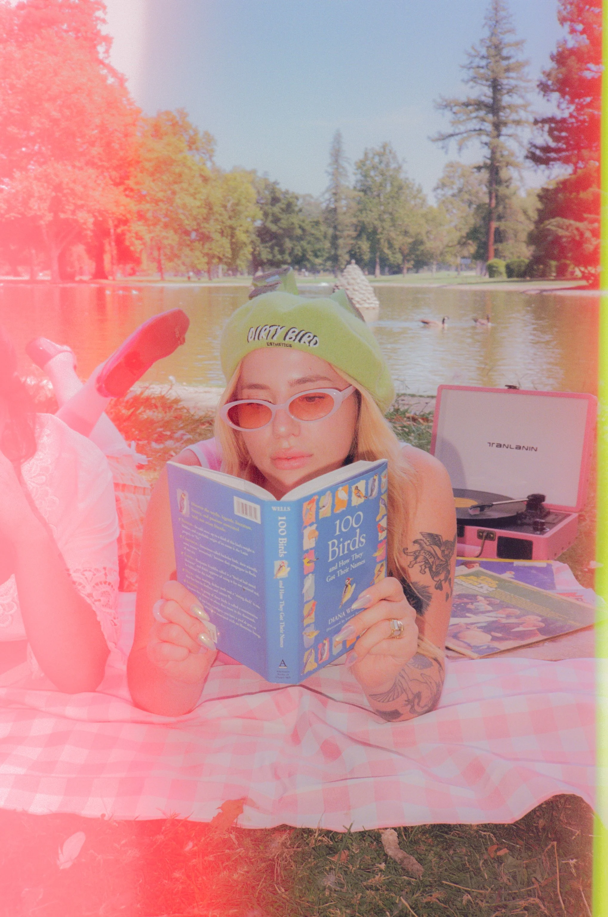 Dirty Bird Goes Bird Watching Film 59.jpg