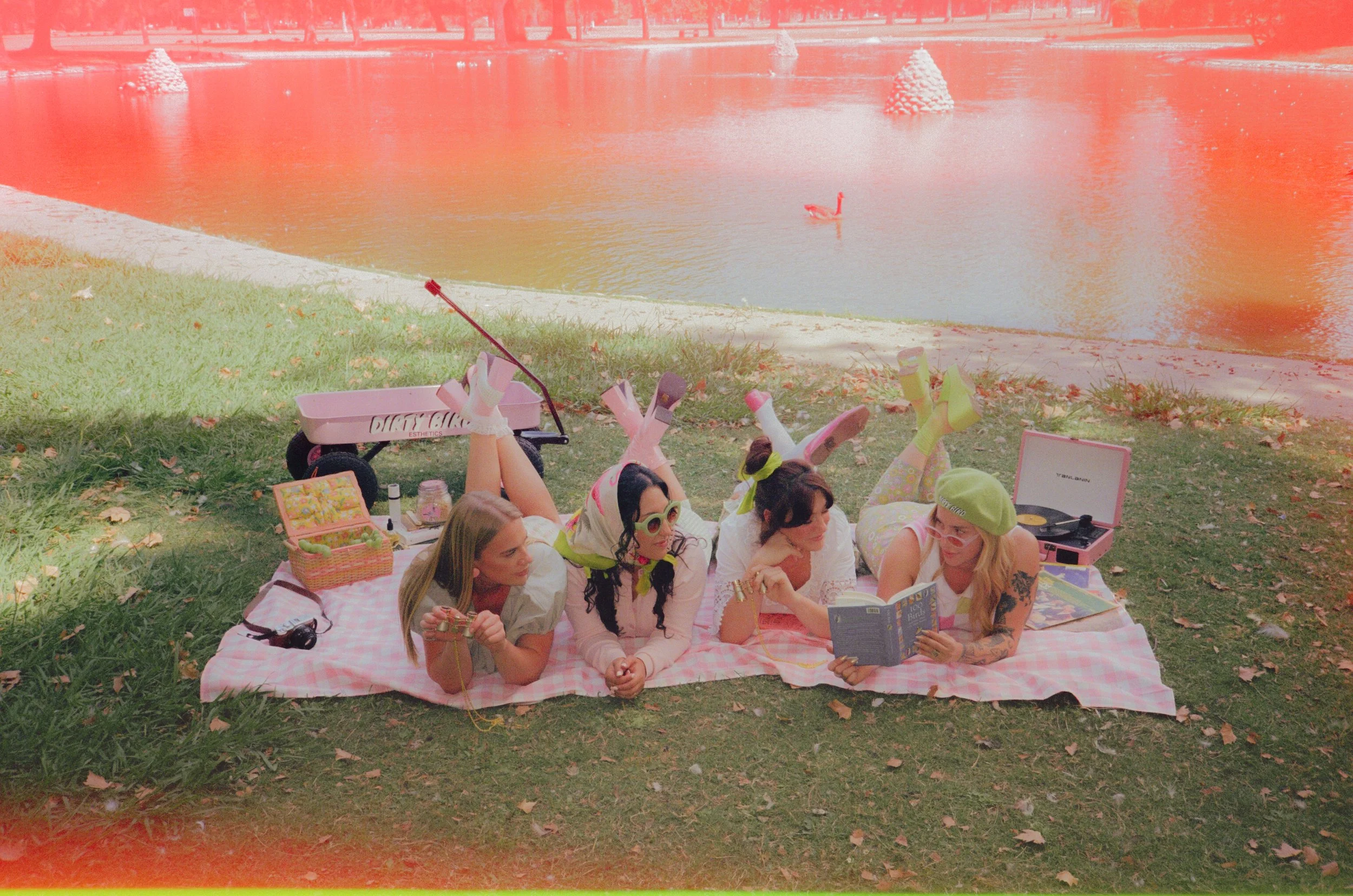 Dirty Bird Goes Bird Watching Film 60.jpg