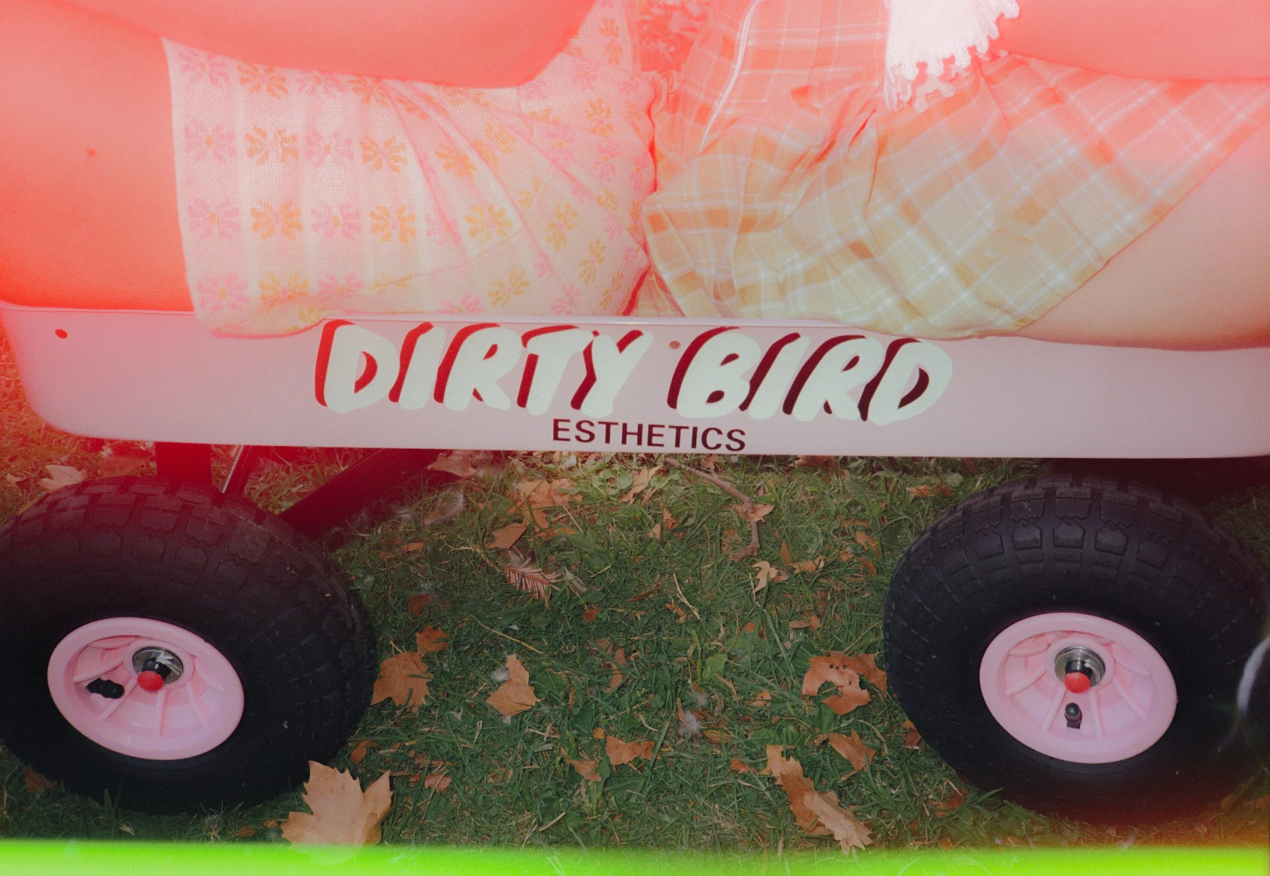 Dirty Bird Goes Bird Watching Film 65.jpg