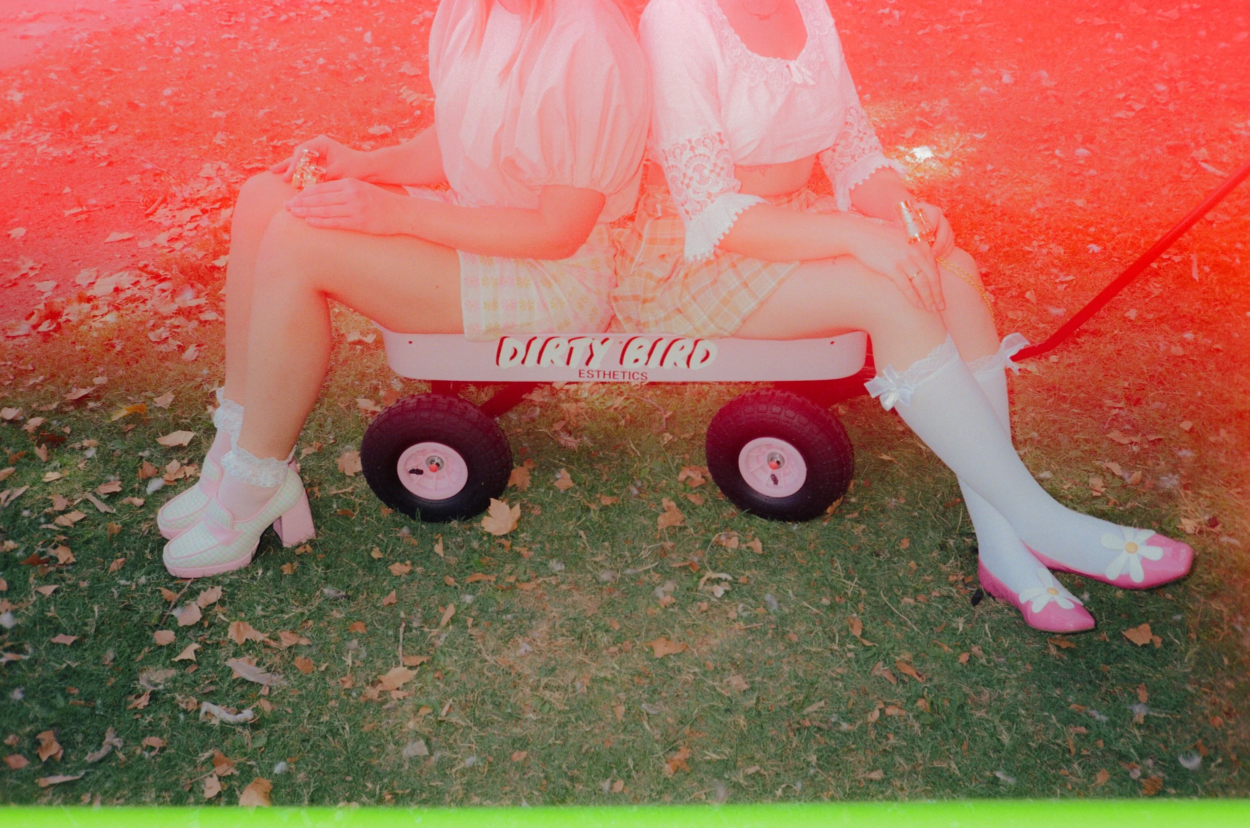 Dirty Bird Goes Bird Watching Film 64.jpg