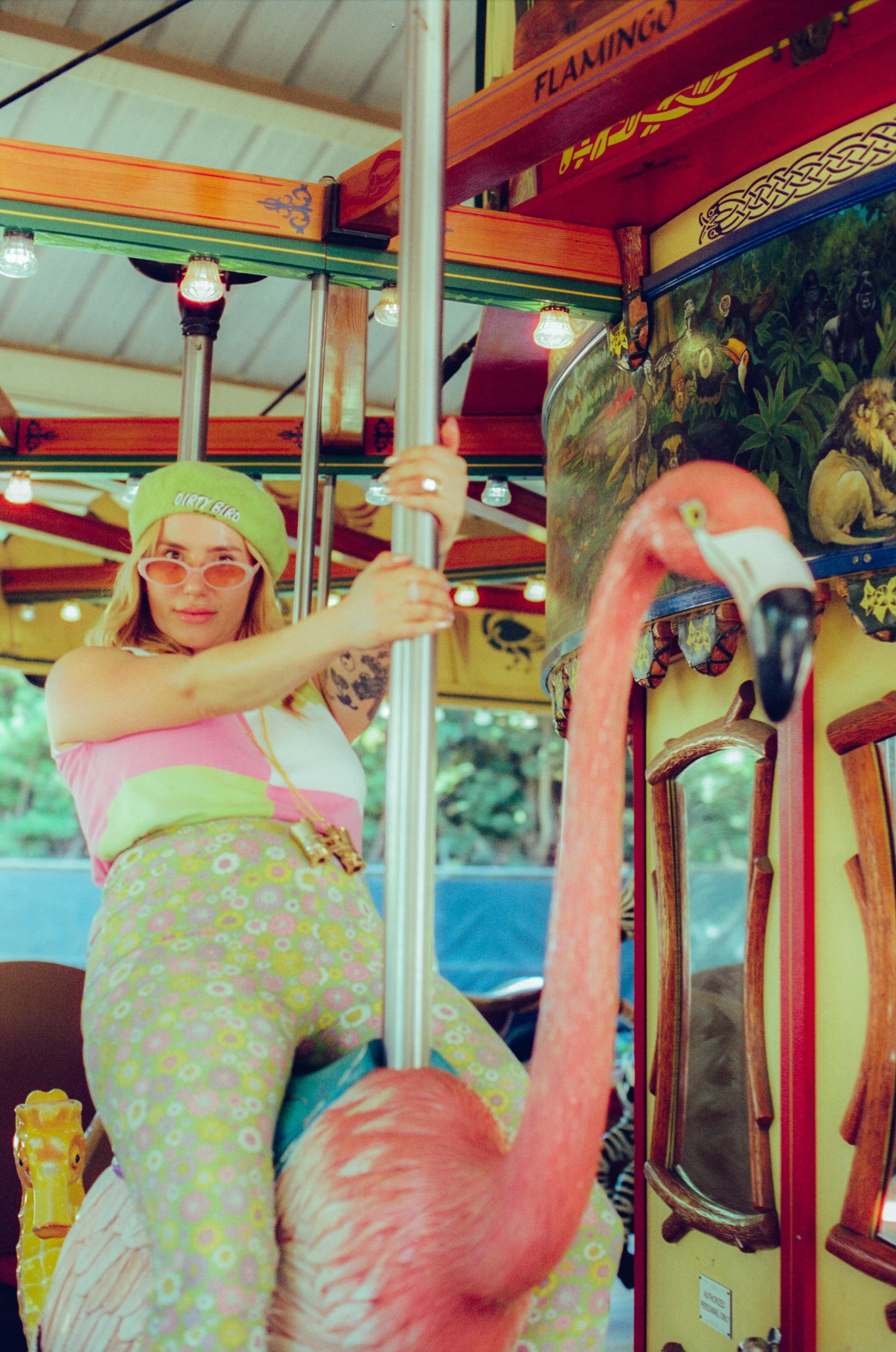 Dirty Bird Goes Bird Watching Film 70.jpg