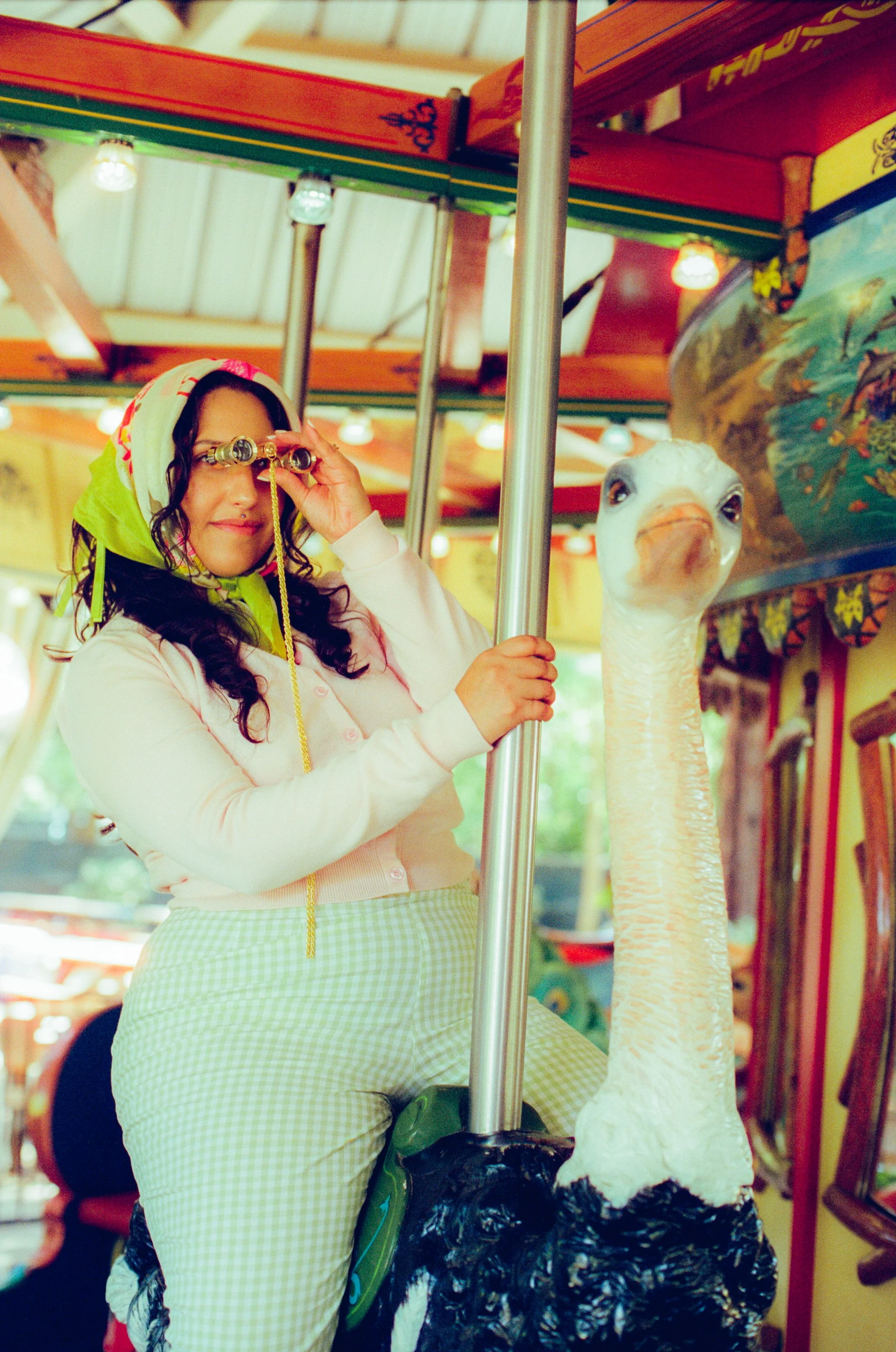 Dirty Bird Goes Bird Watching Film 73.jpg