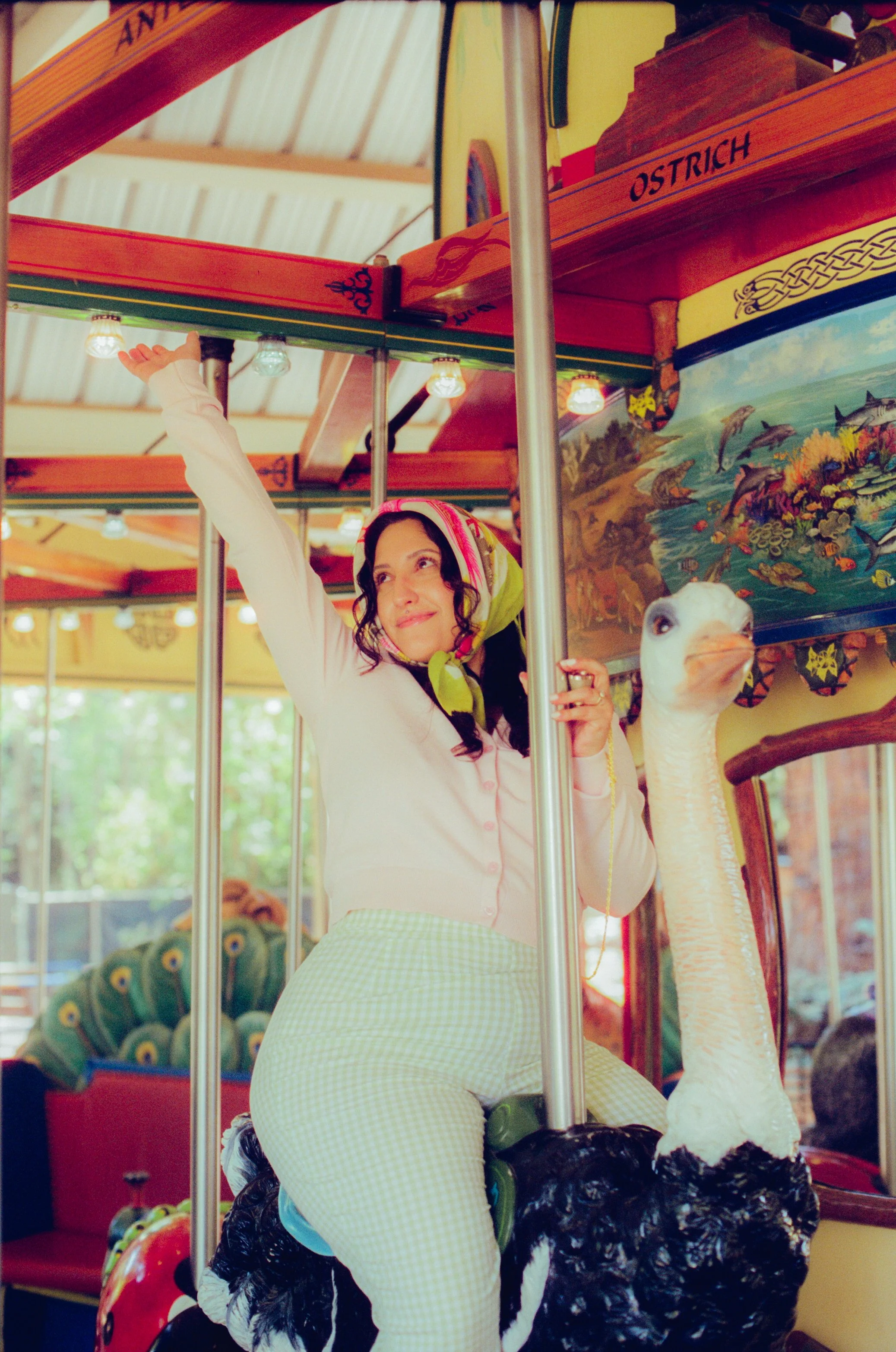 Dirty Bird Goes Bird Watching Film 74.jpg