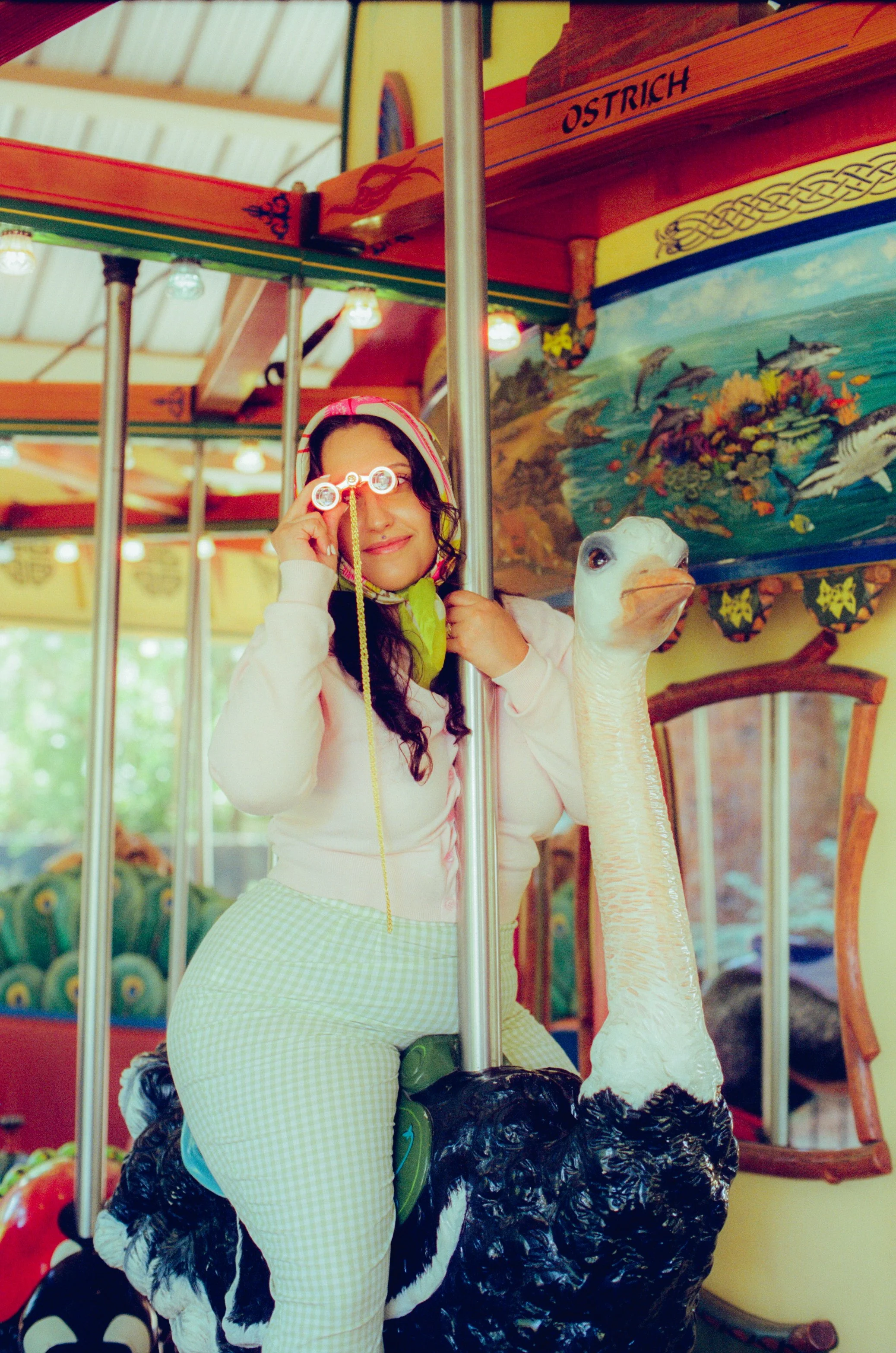 Dirty Bird Goes Bird Watching Film 75.jpg