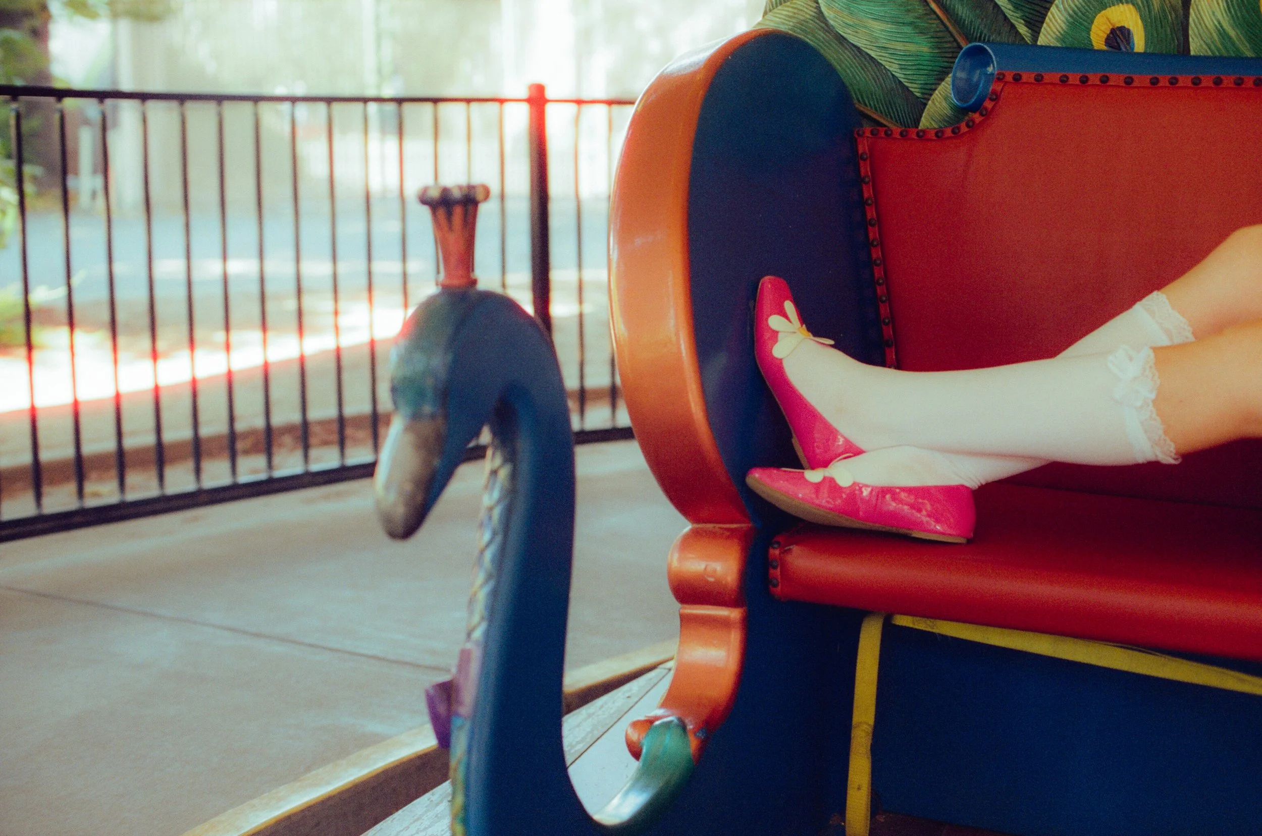 Dirty Bird Goes Bird Watching Film 79.jpg