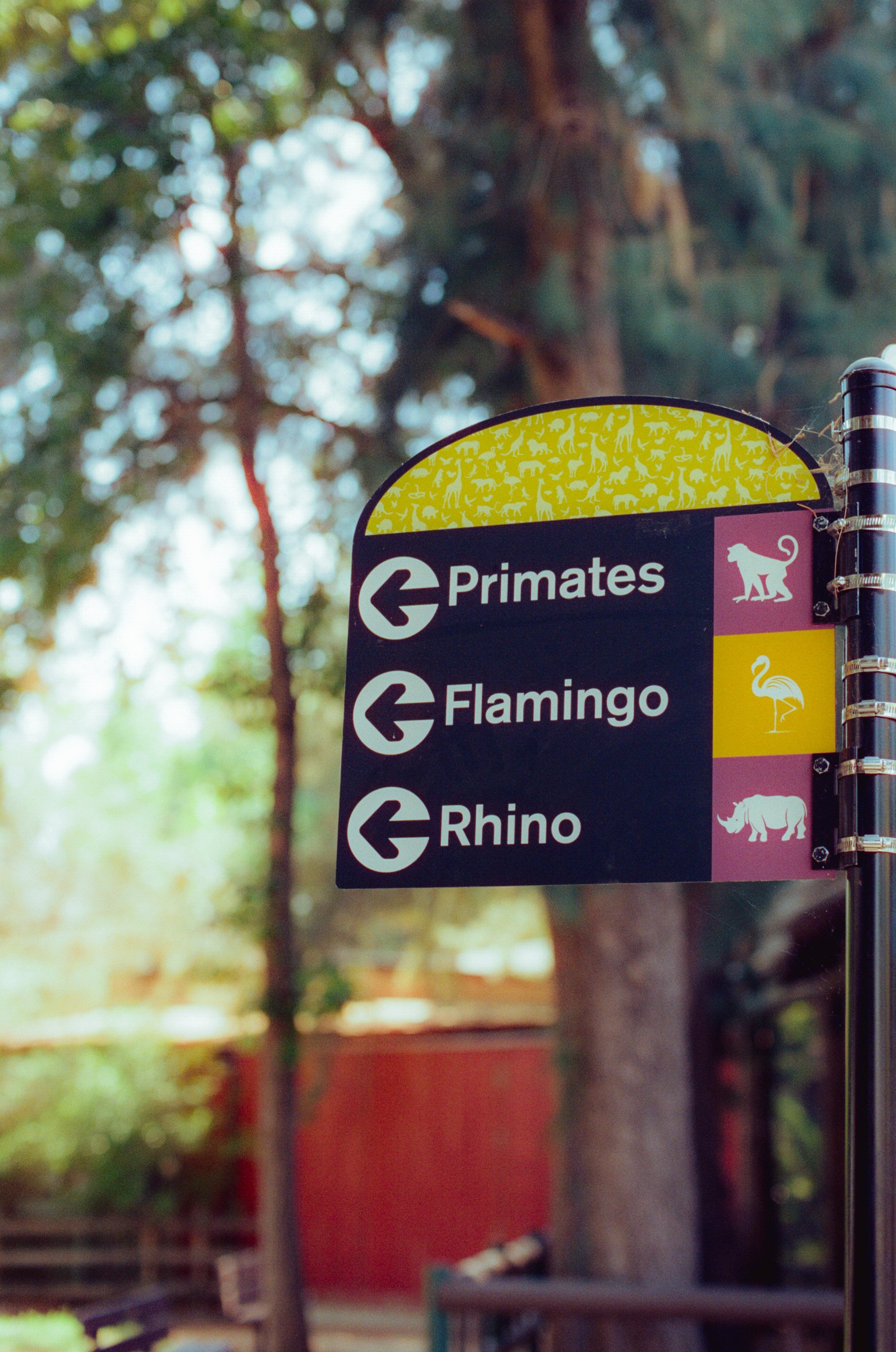 Dirty Bird Goes Bird Watching Film 90.jpg