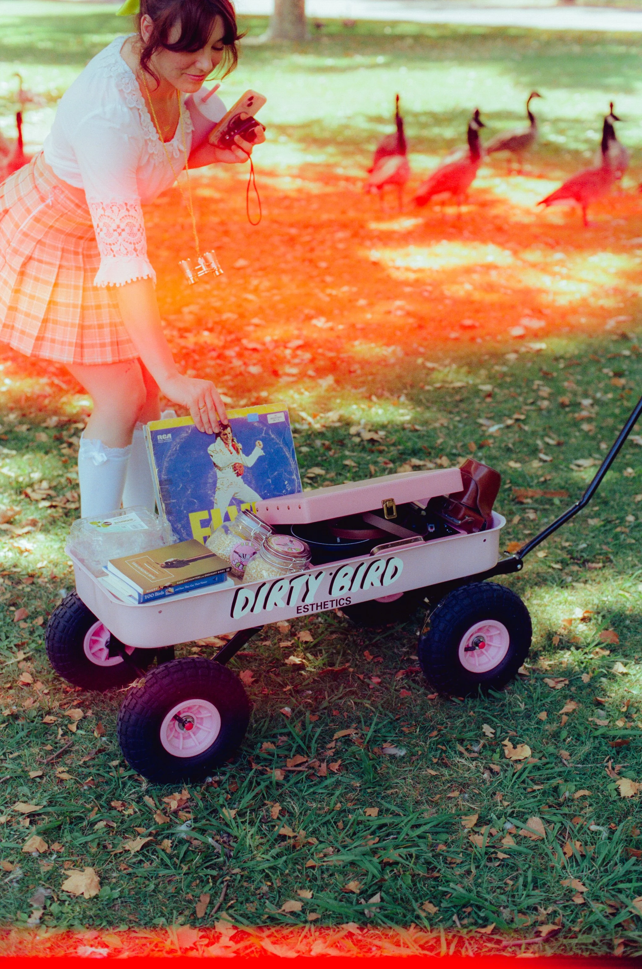 Dirty Bird Goes Bird Watching Film 91.jpg