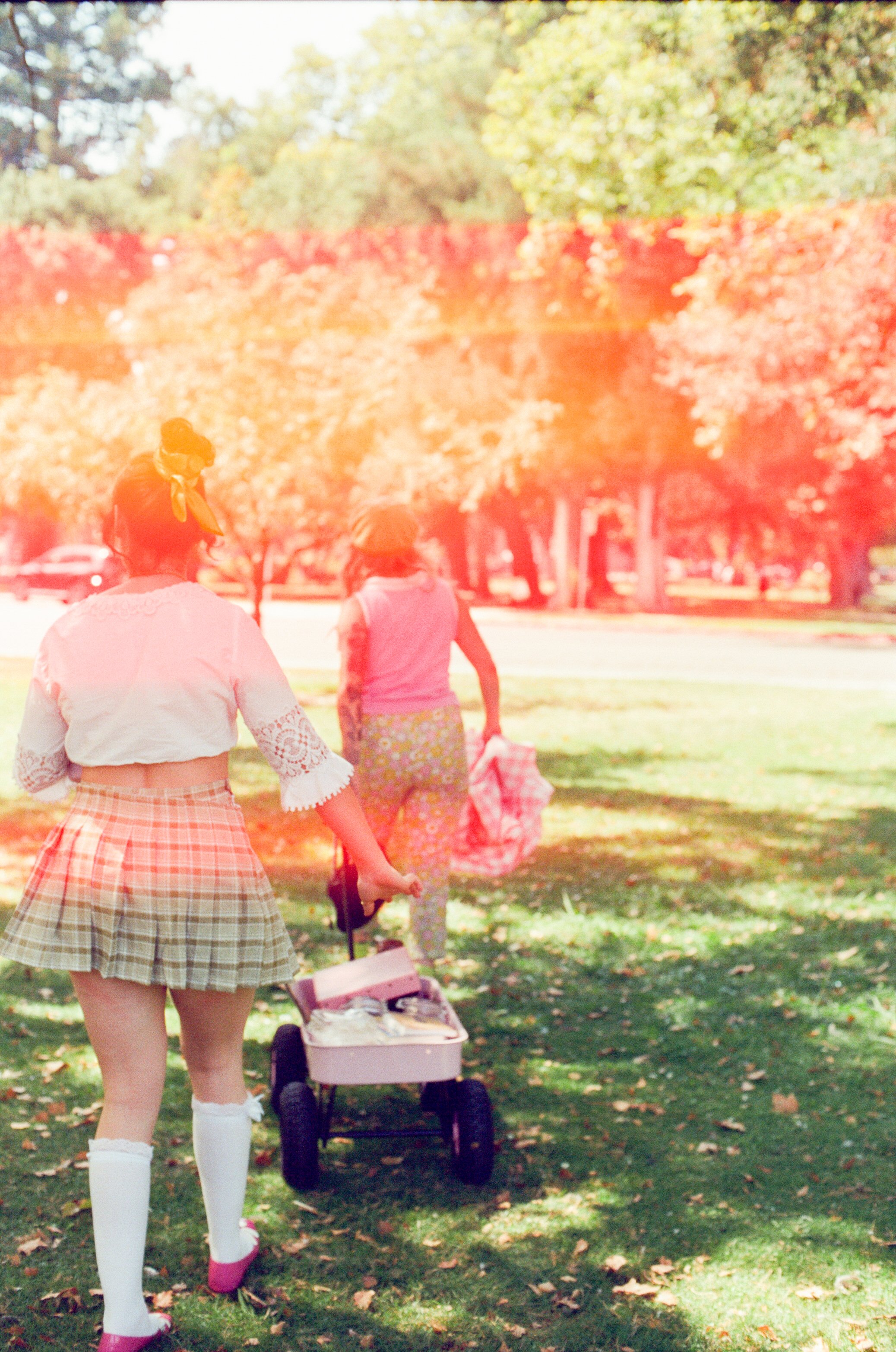 Dirty Bird Goes Bird Watching Film 92.jpg