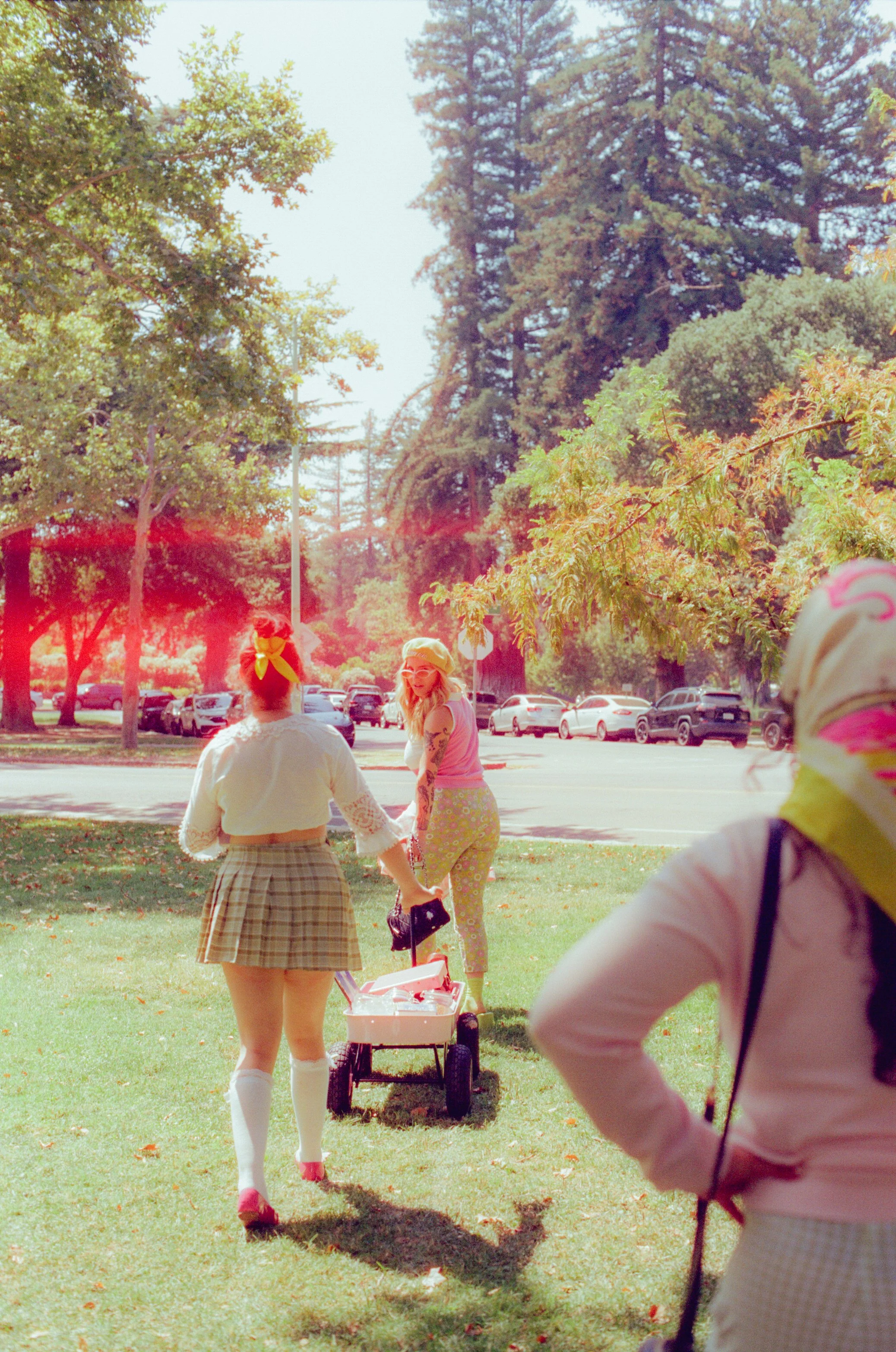 Dirty Bird Goes Bird Watching Film 93.jpg