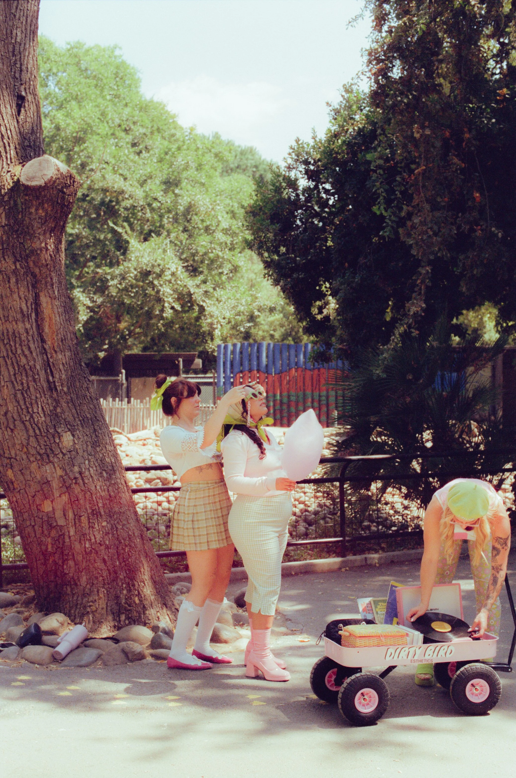 Dirty Bird Goes Bird Watching Film 96.jpg