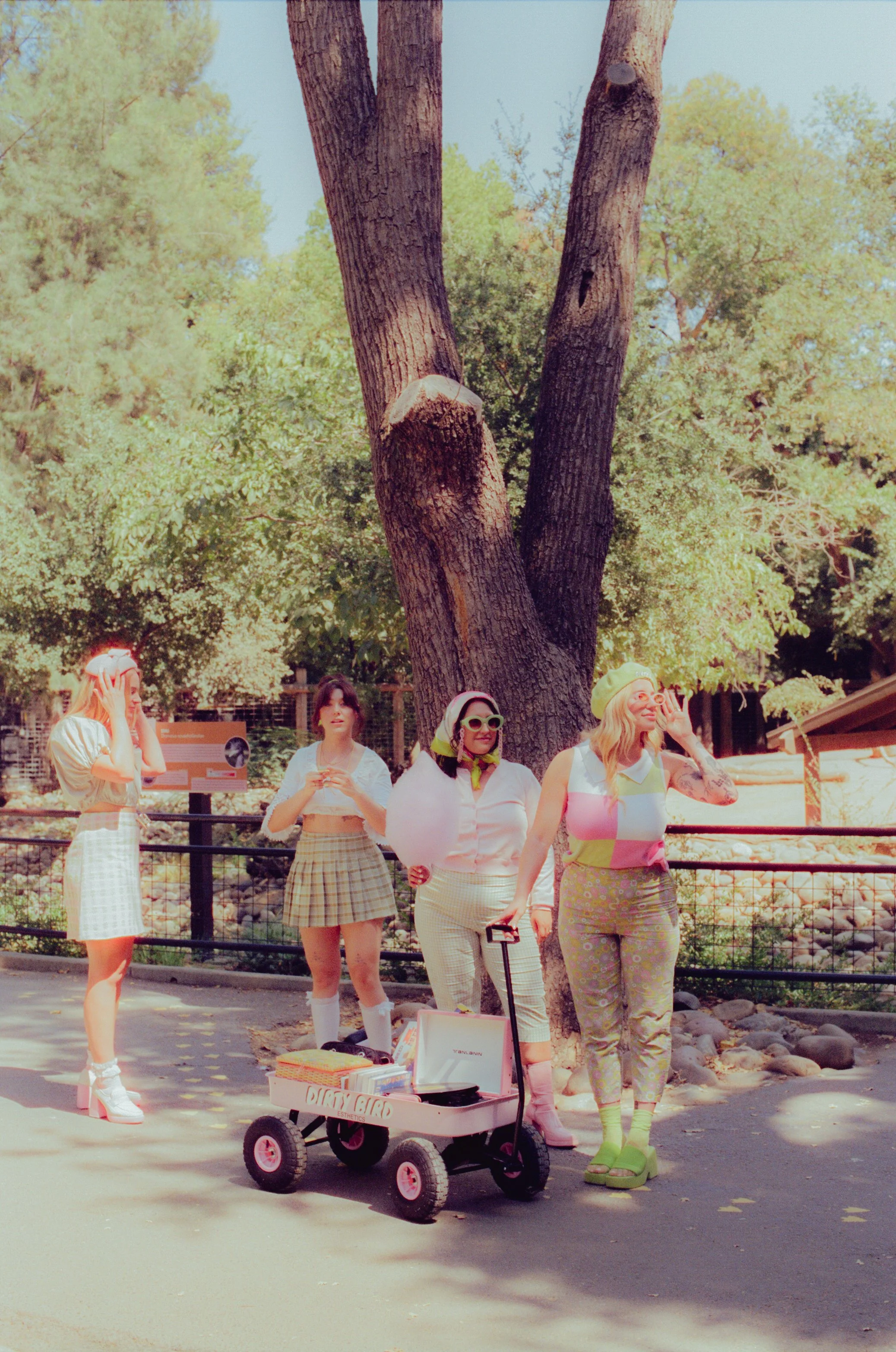 Dirty Bird Goes Bird Watching Film 97.jpg