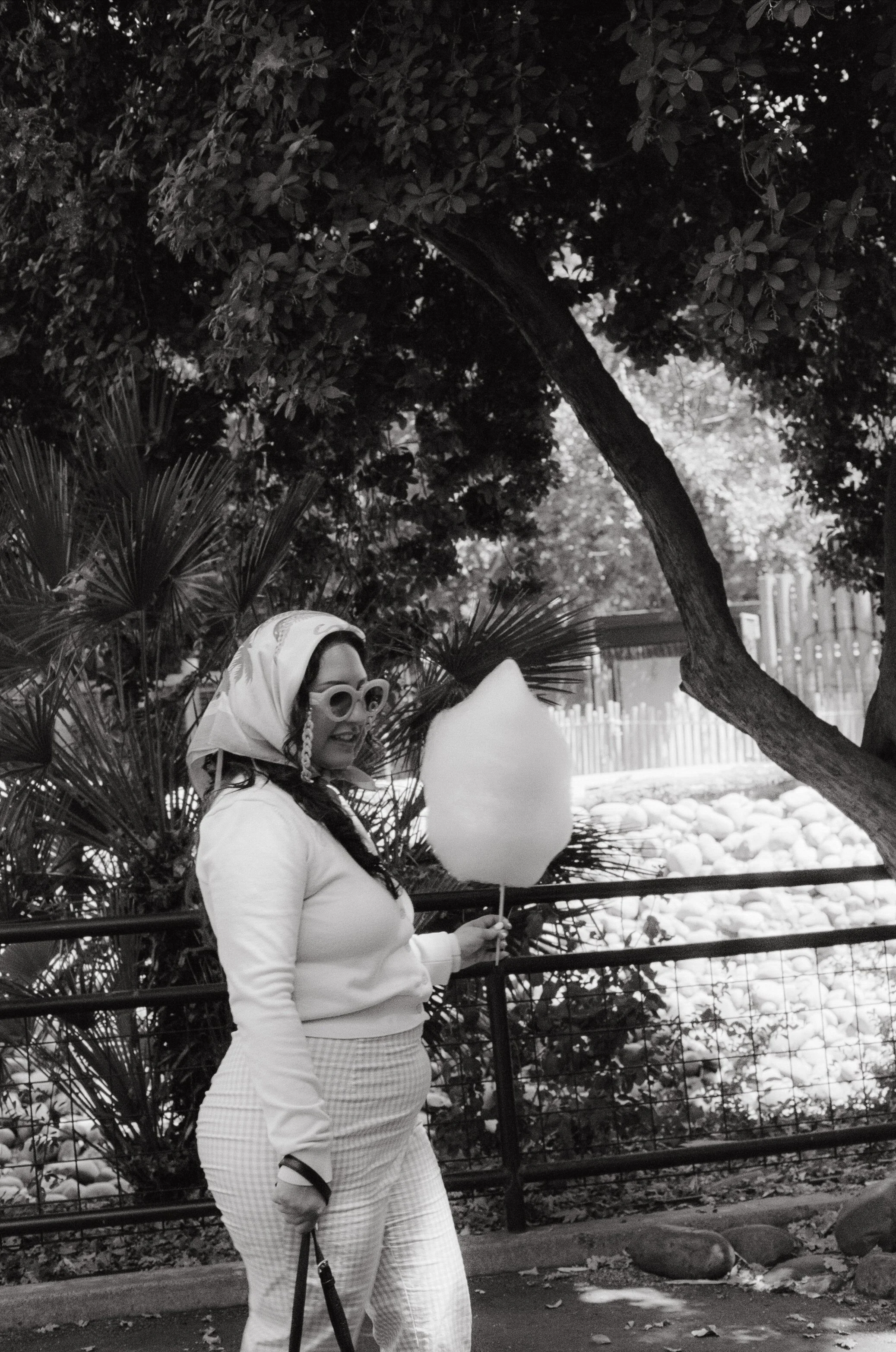 Dirty Bird Goes Bird Watching Film 100.jpg