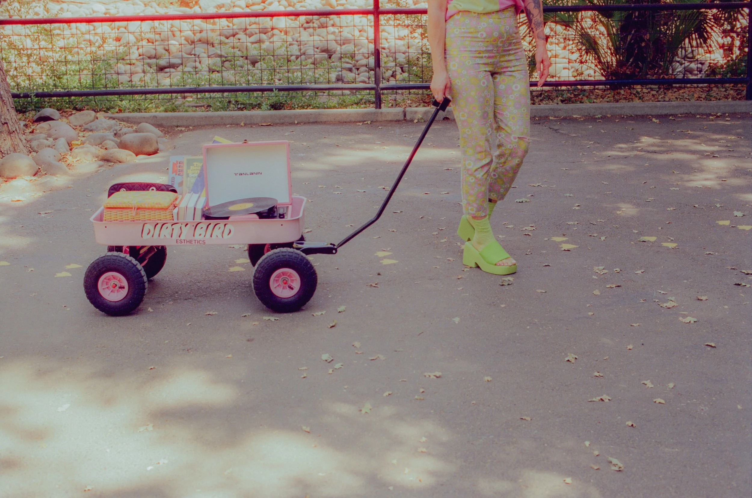 Dirty Bird Goes Bird Watching Film 99.jpg