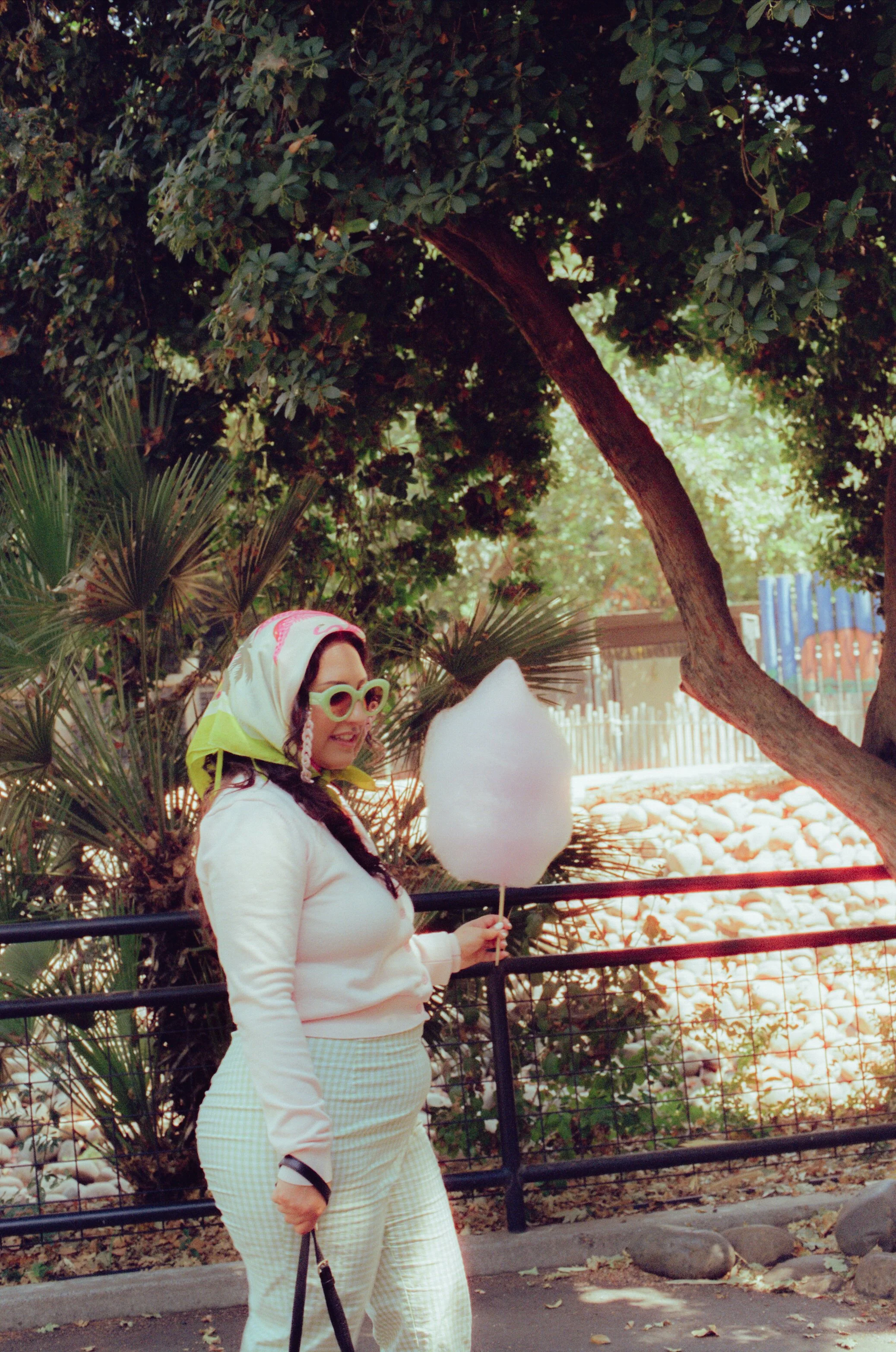 Dirty Bird Goes Bird Watching Film 101.jpg