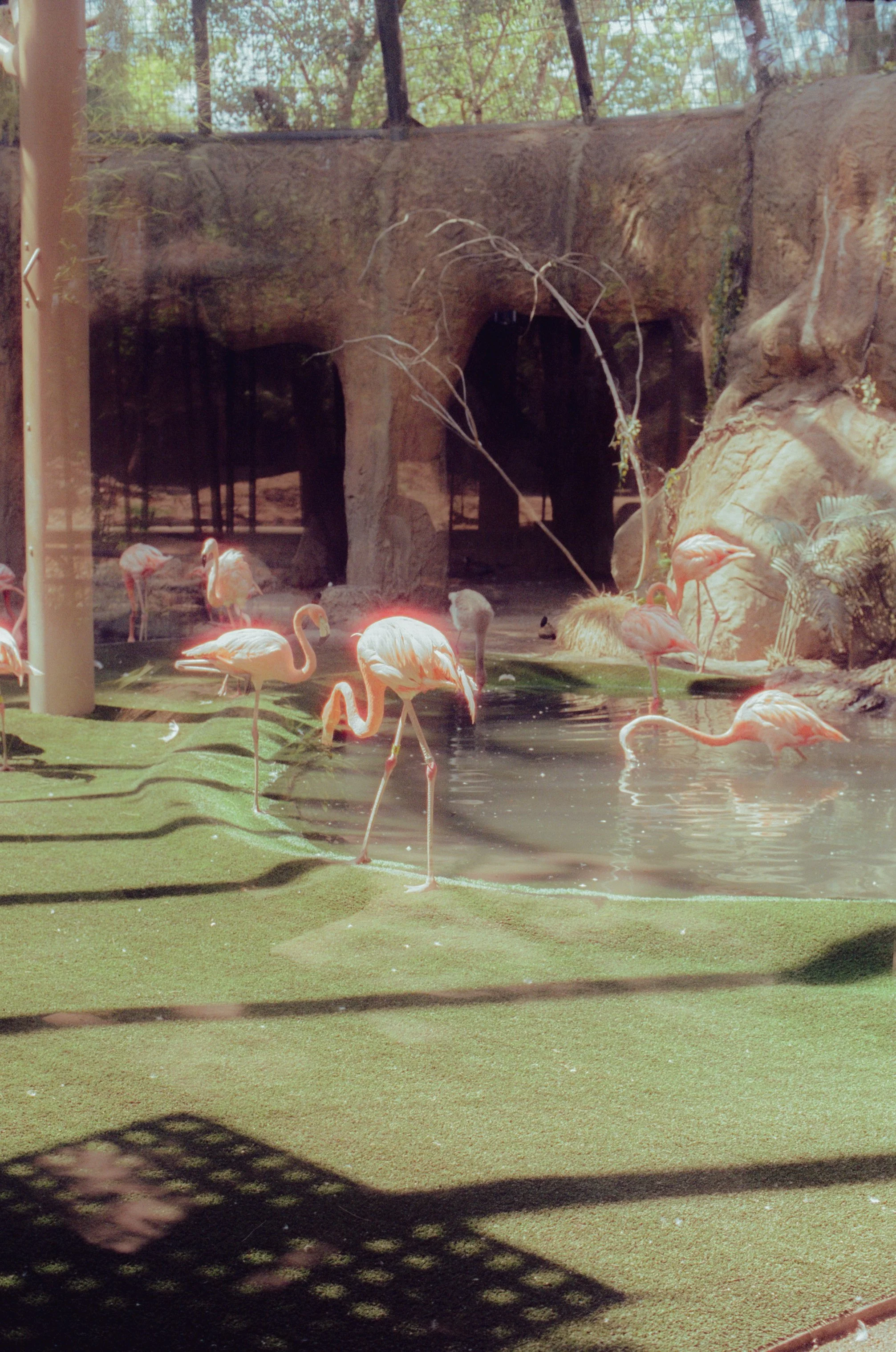 Dirty Bird Goes Bird Watching Film 103.jpg