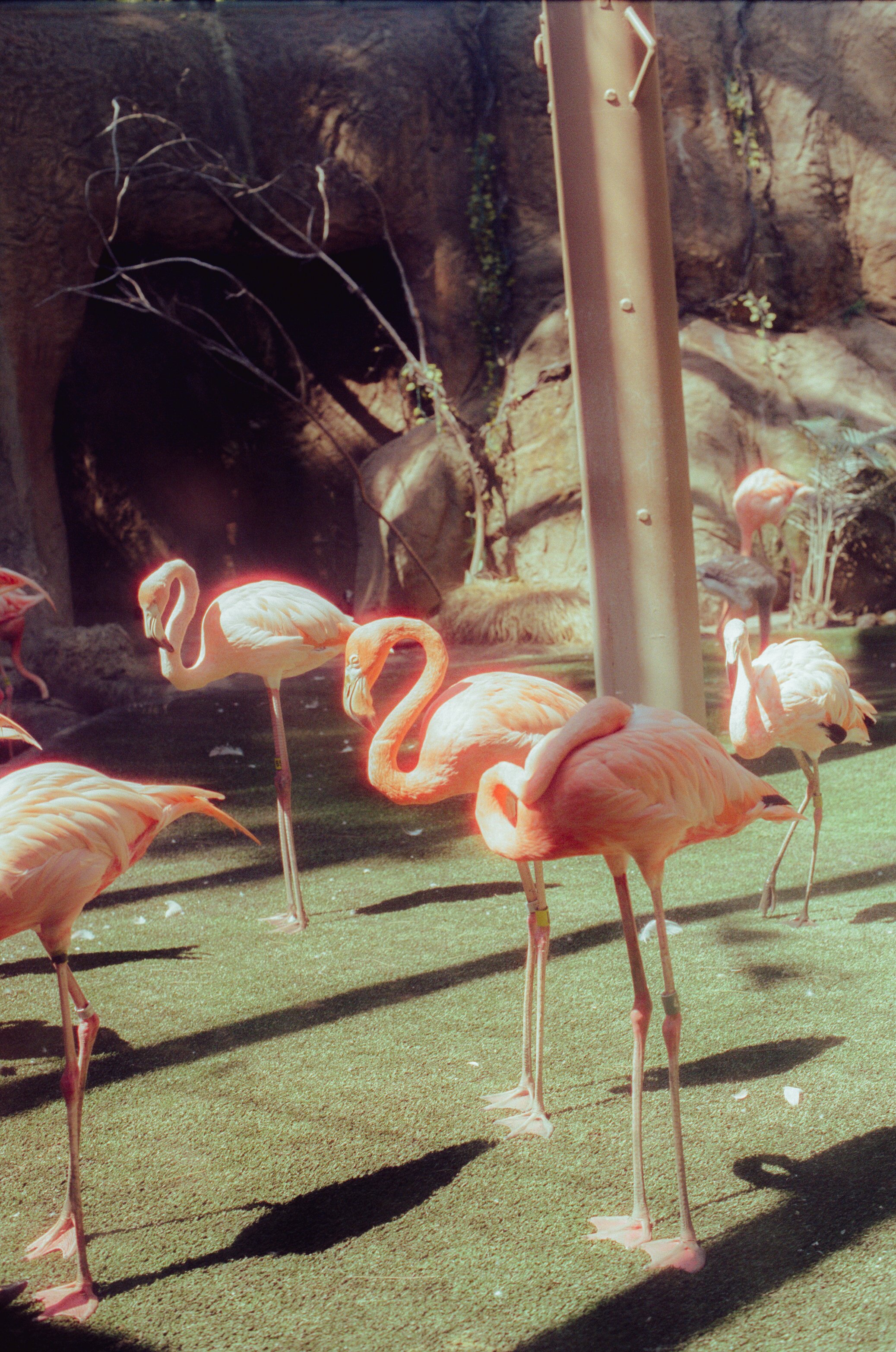 Dirty Bird Goes Bird Watching Film 105.jpg