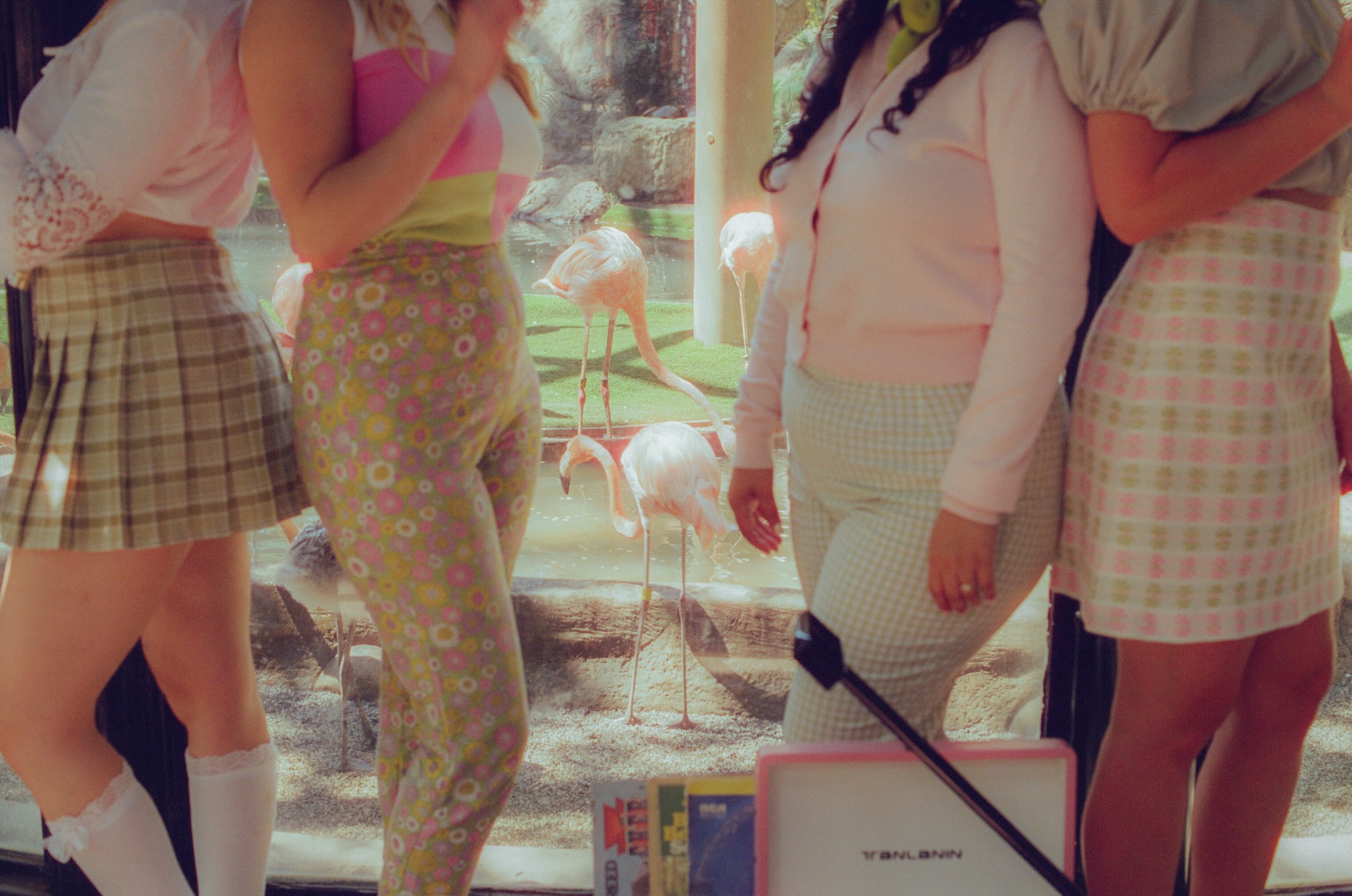 Dirty Bird Goes Bird Watching Film 107.jpg