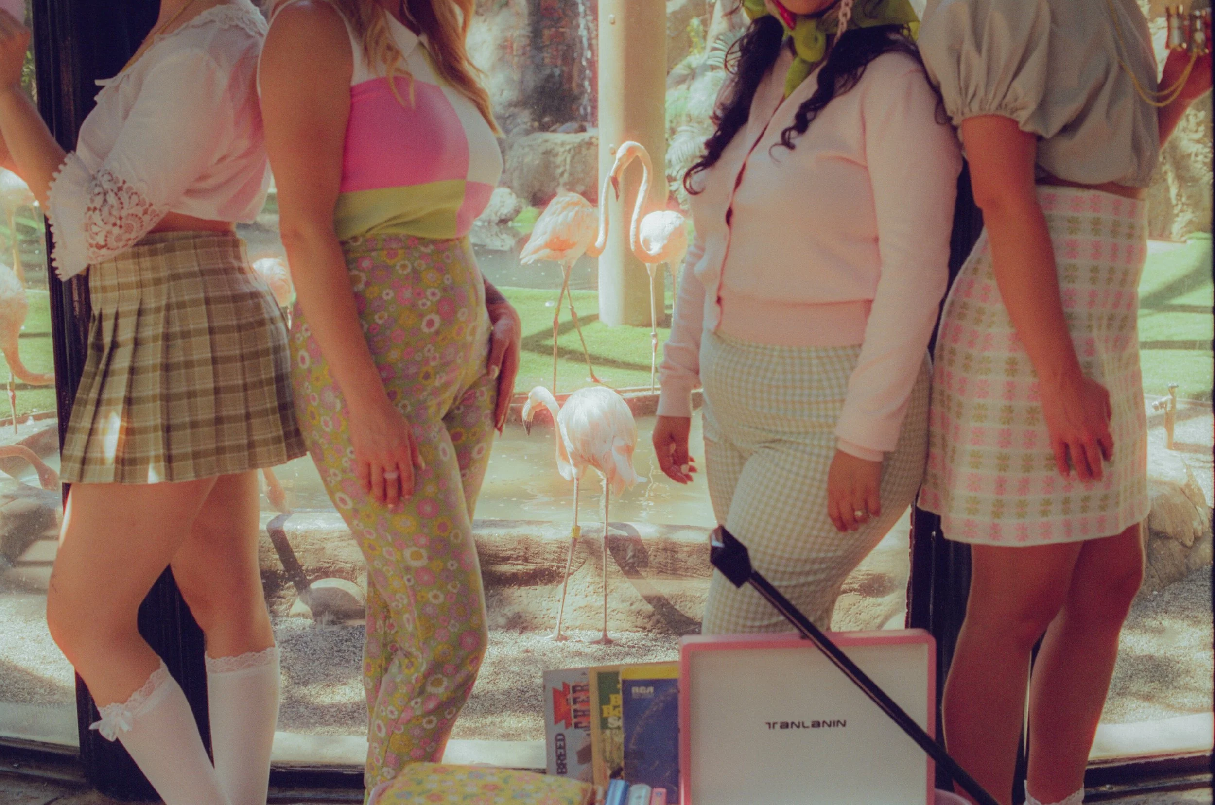 Dirty Bird Goes Bird Watching Film 108.jpg