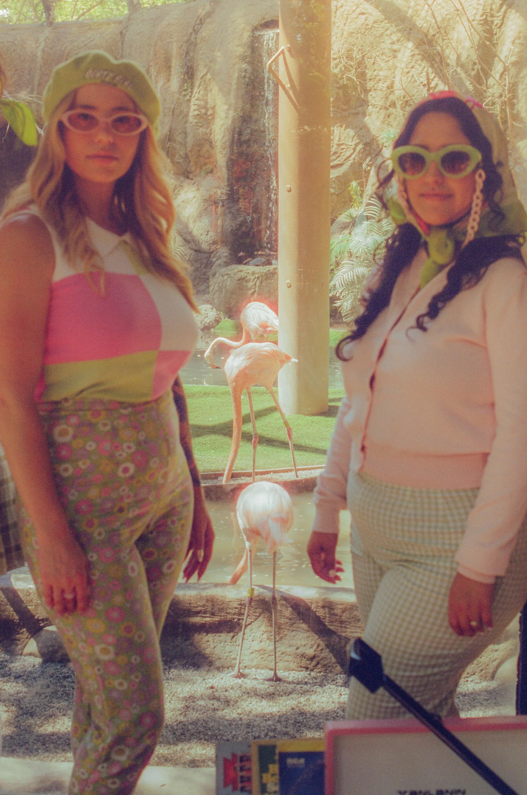 Dirty Bird Goes Bird Watching Film 109.jpg