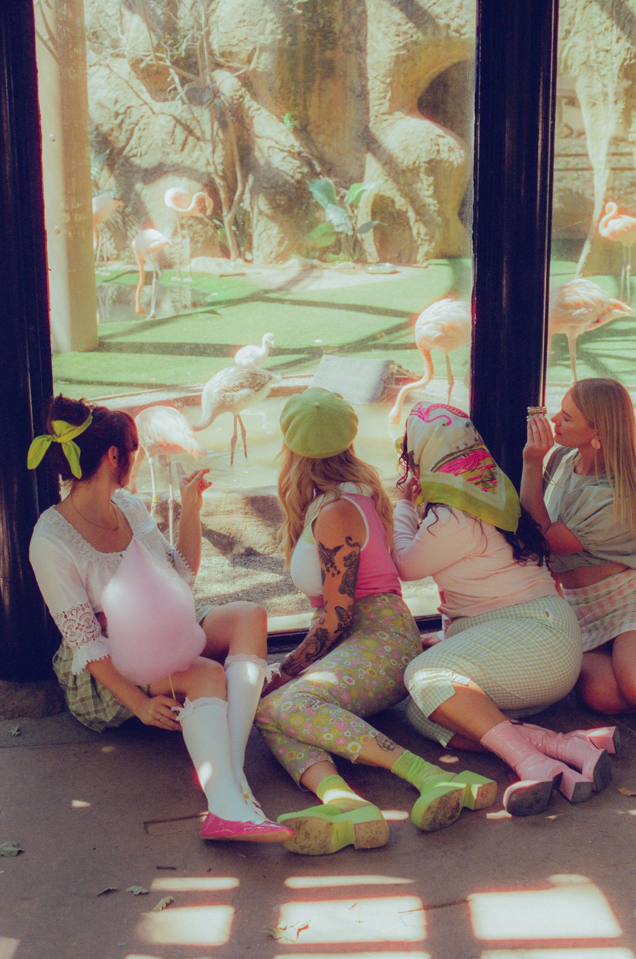 Dirty Bird Goes Bird Watching Film 113.jpg