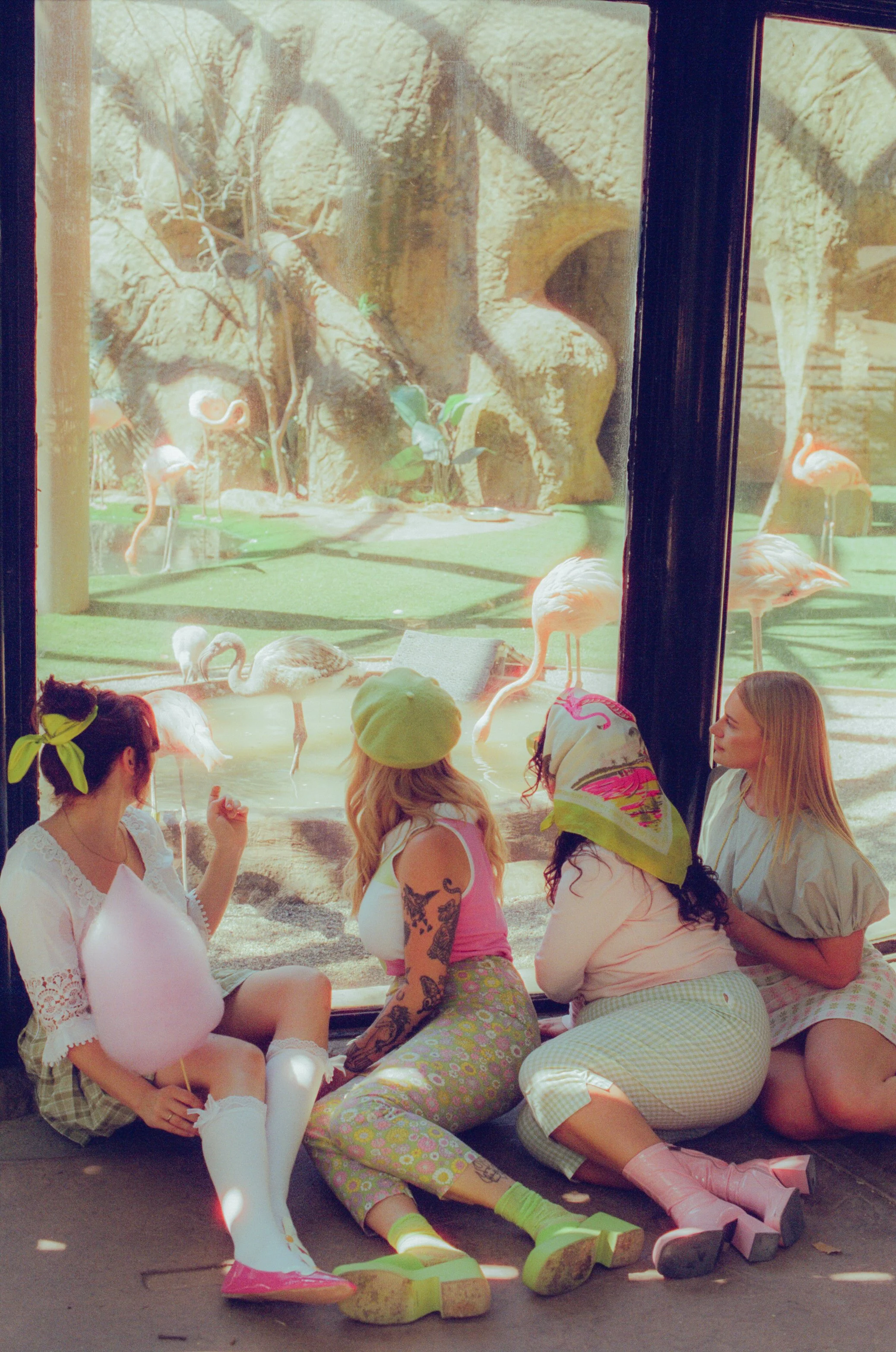 Dirty Bird Goes Bird Watching Film 114.jpg