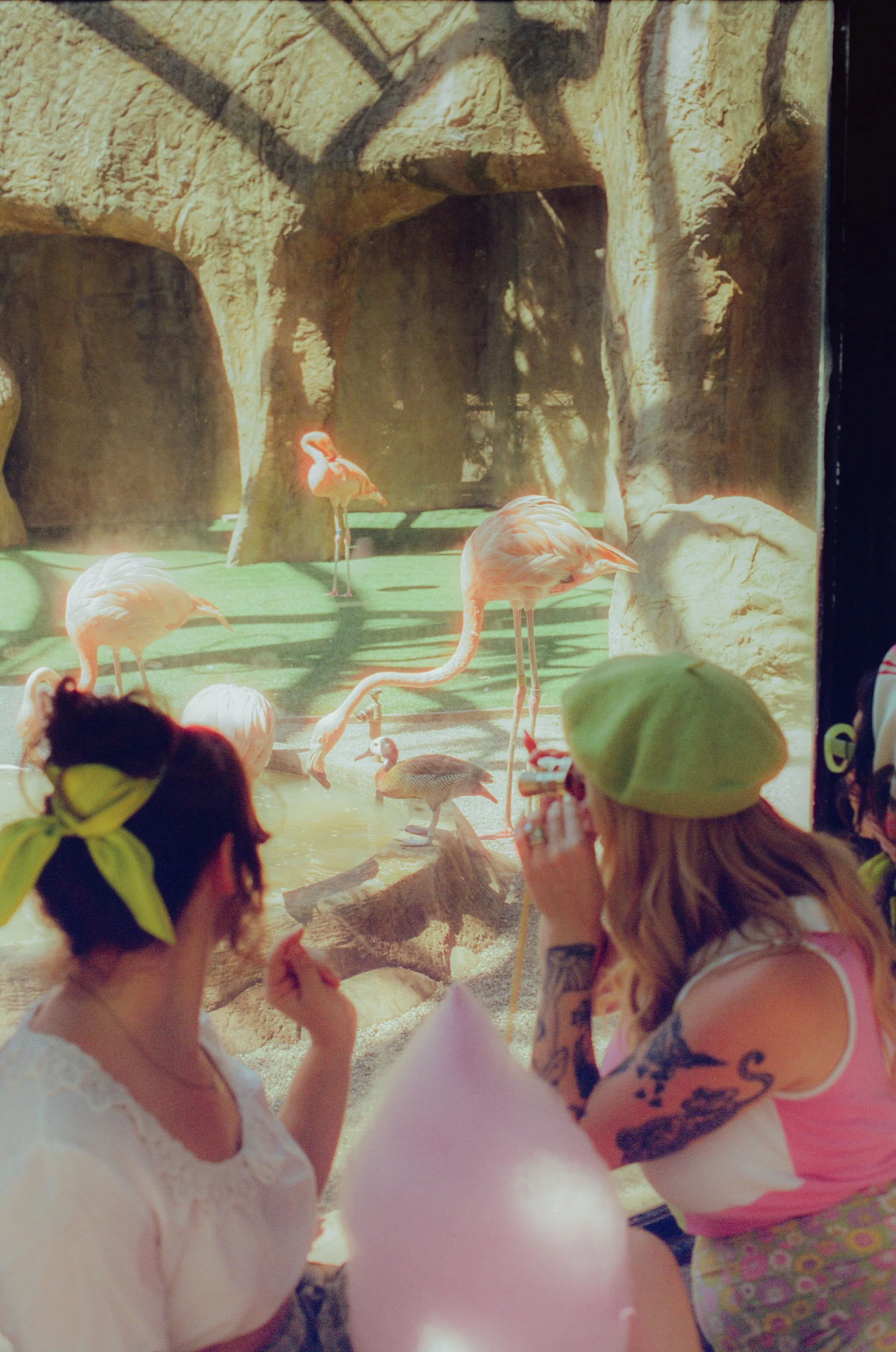 Dirty Bird Goes Bird Watching Film 115.jpg