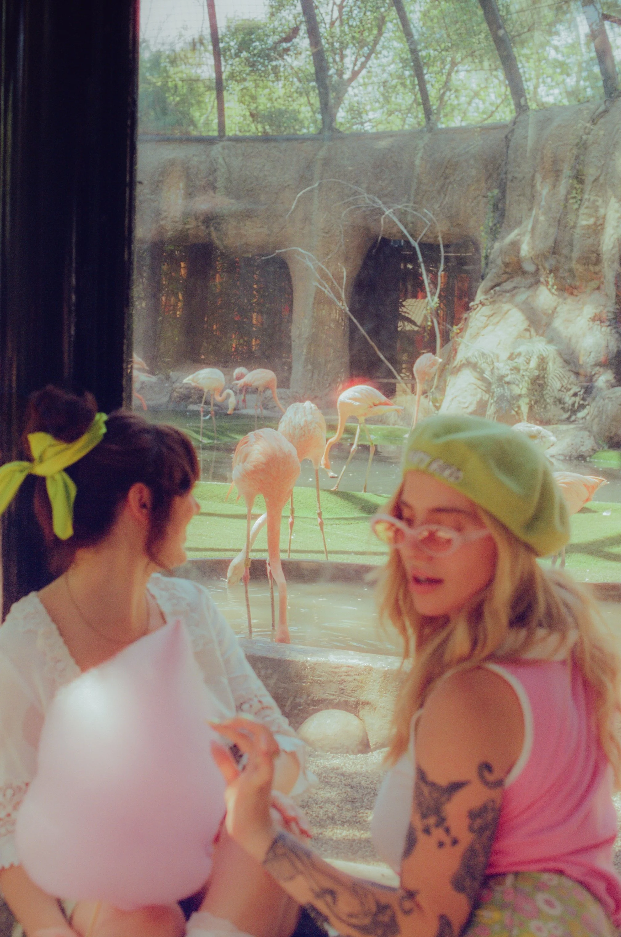 Dirty Bird Goes Bird Watching Film 116.jpg