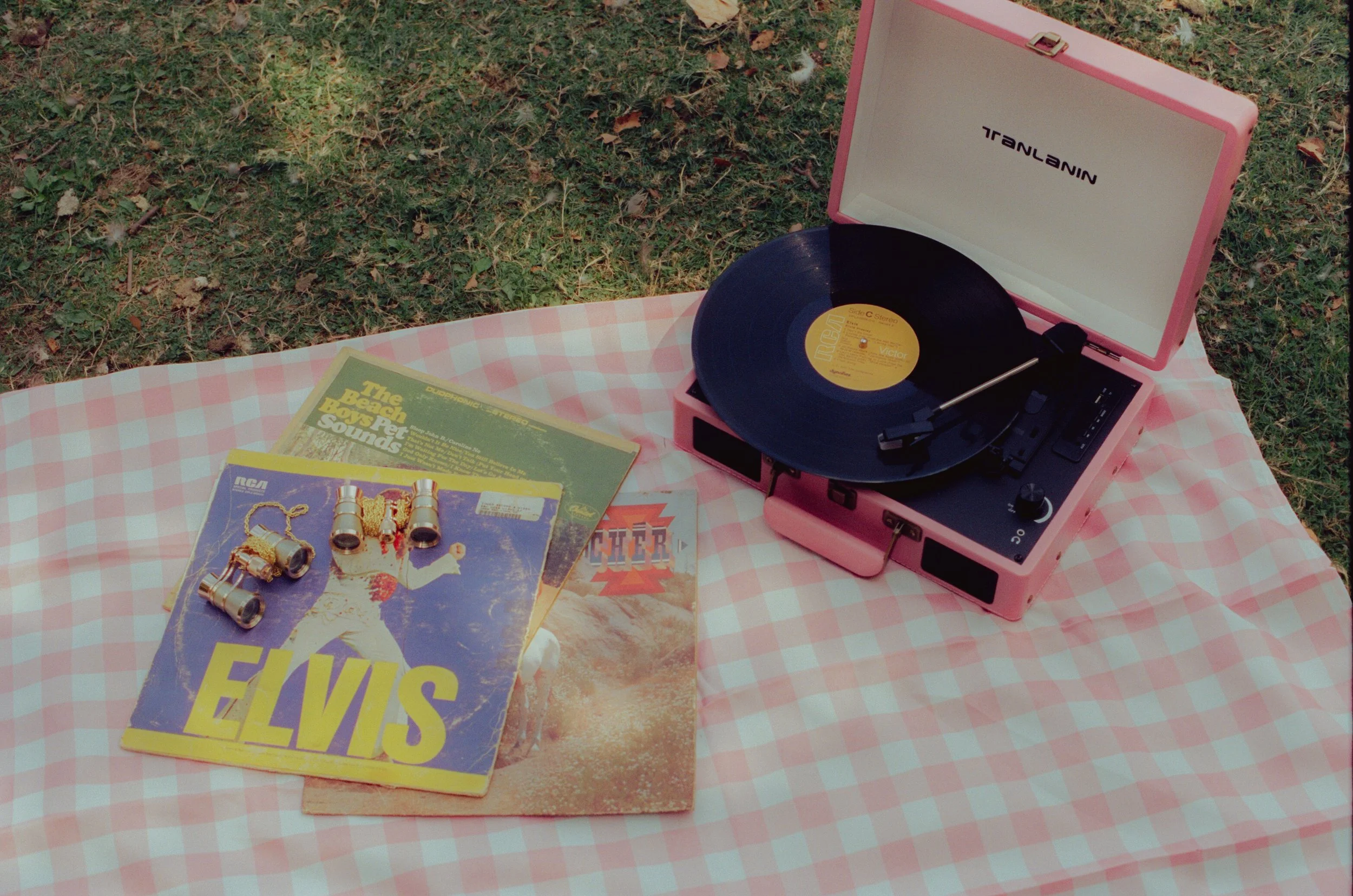 Dirty Bird Goes Bird Watching Film 132.jpg