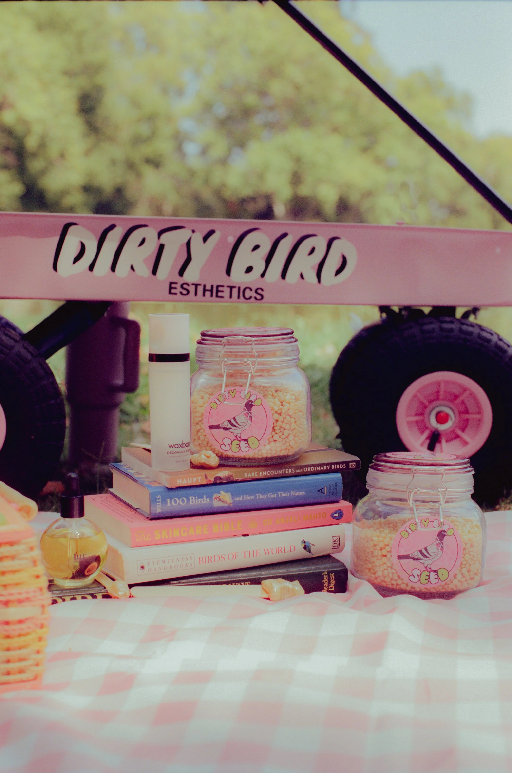 Dirty Bird Goes Bird Watching Film 134.jpg