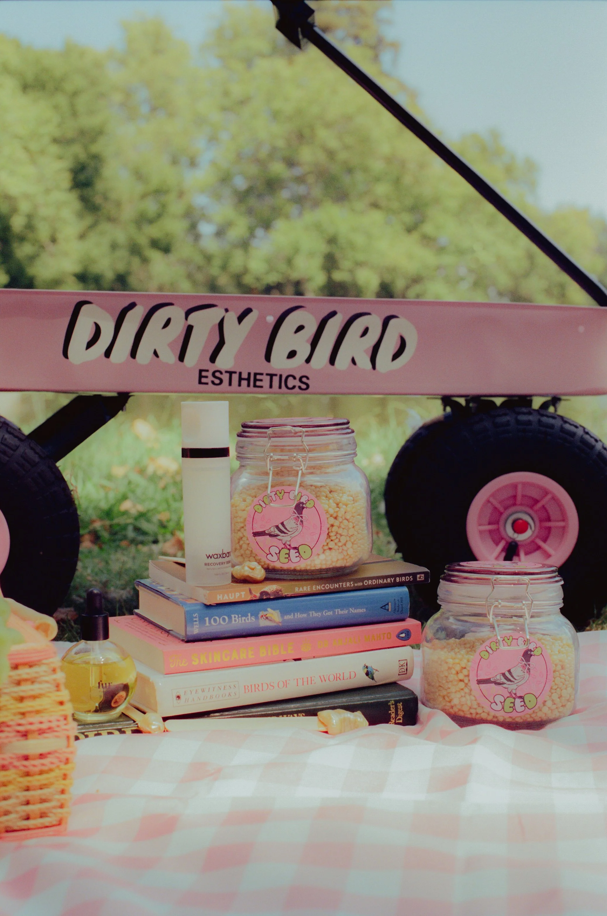 Dirty Bird Goes Bird Watching Film 135.jpg