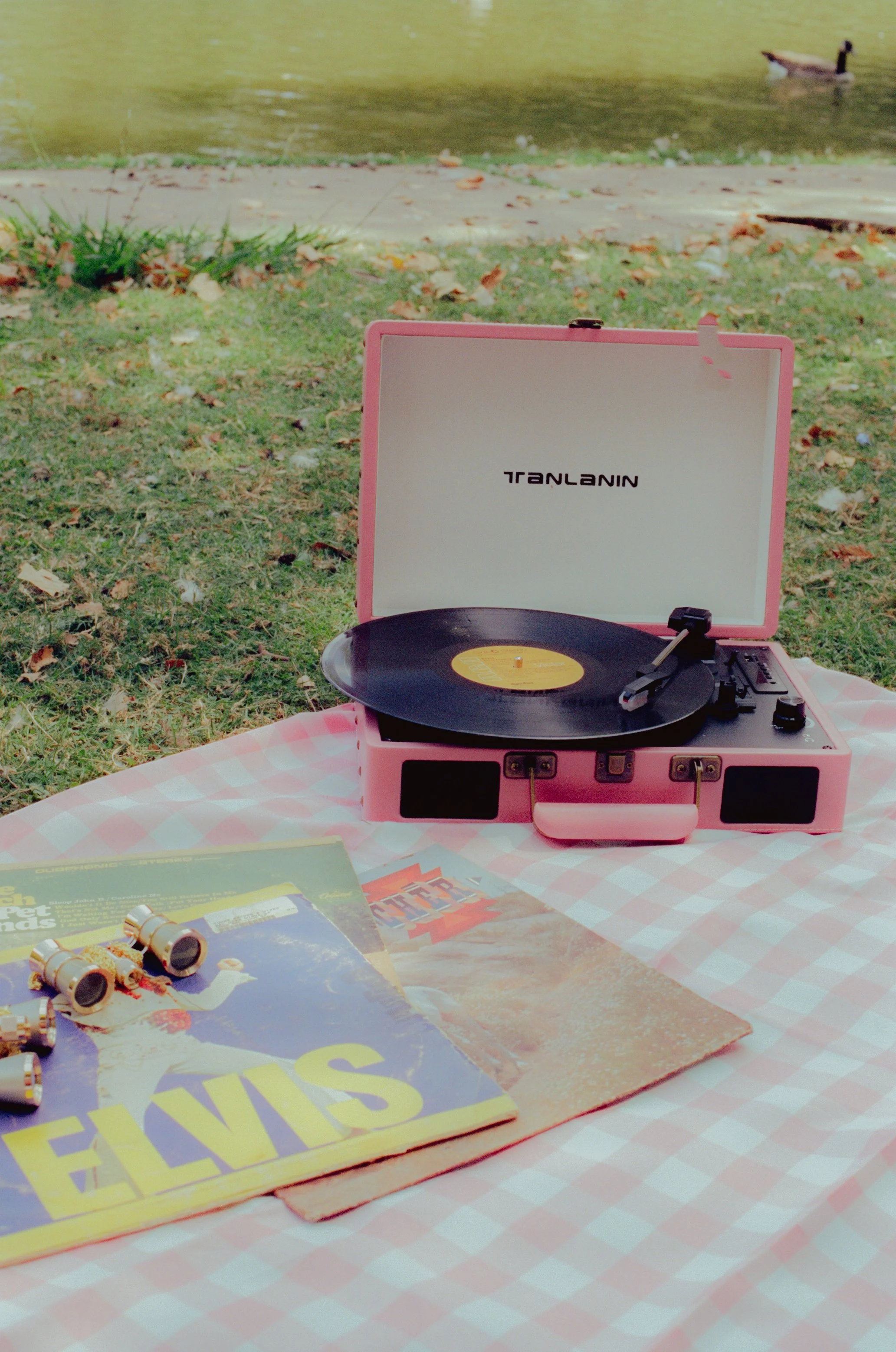 Dirty Bird Goes Bird Watching Film 136.jpg