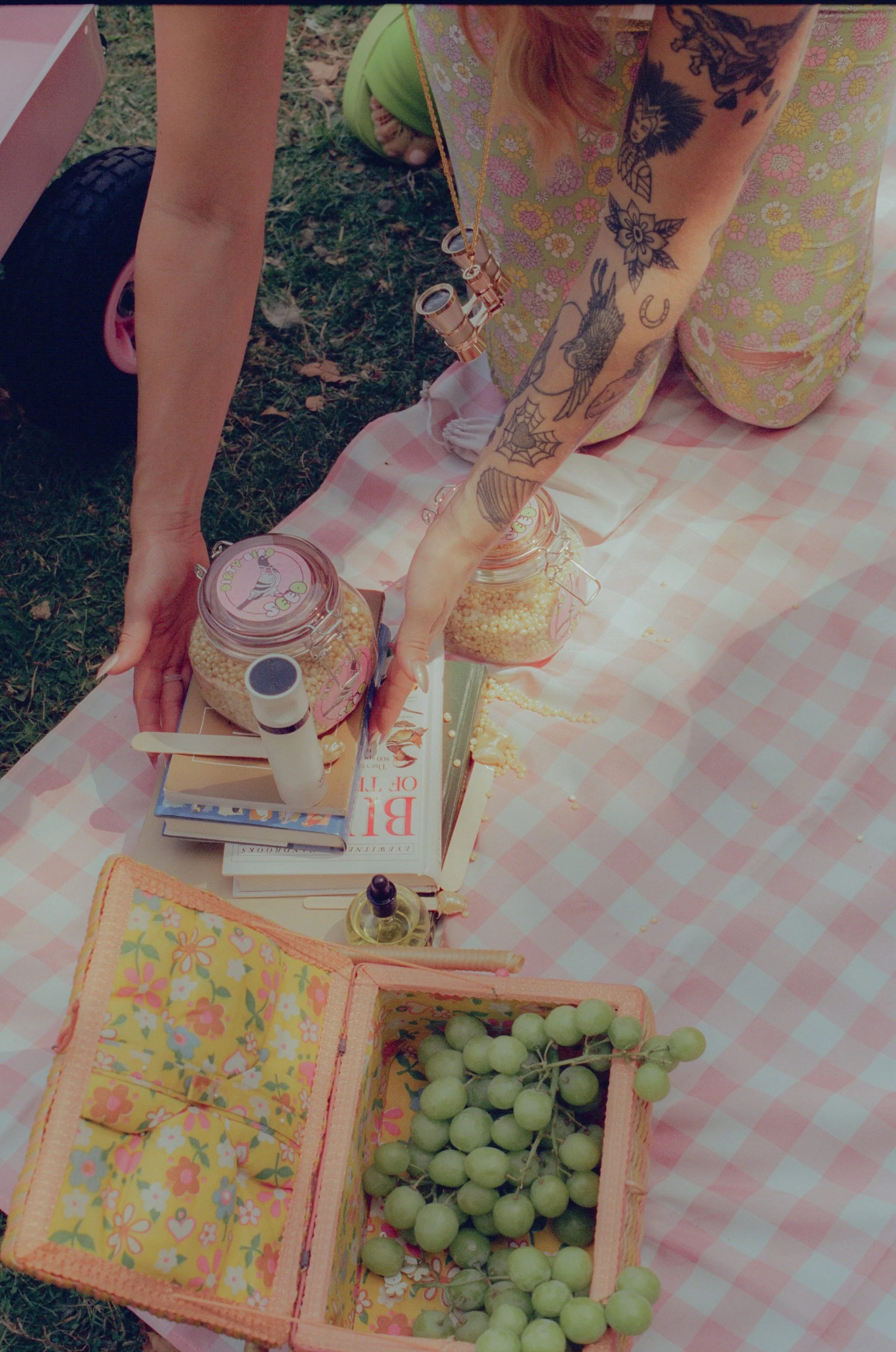 Dirty Bird Goes Bird Watching Film 139.jpg