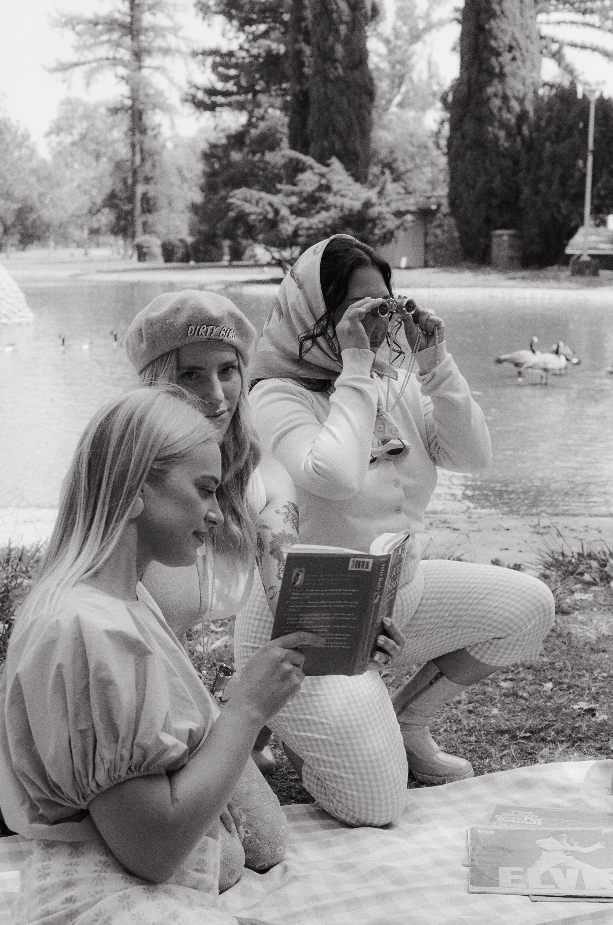 Dirty Bird Goes Bird Watching Film 148.jpg