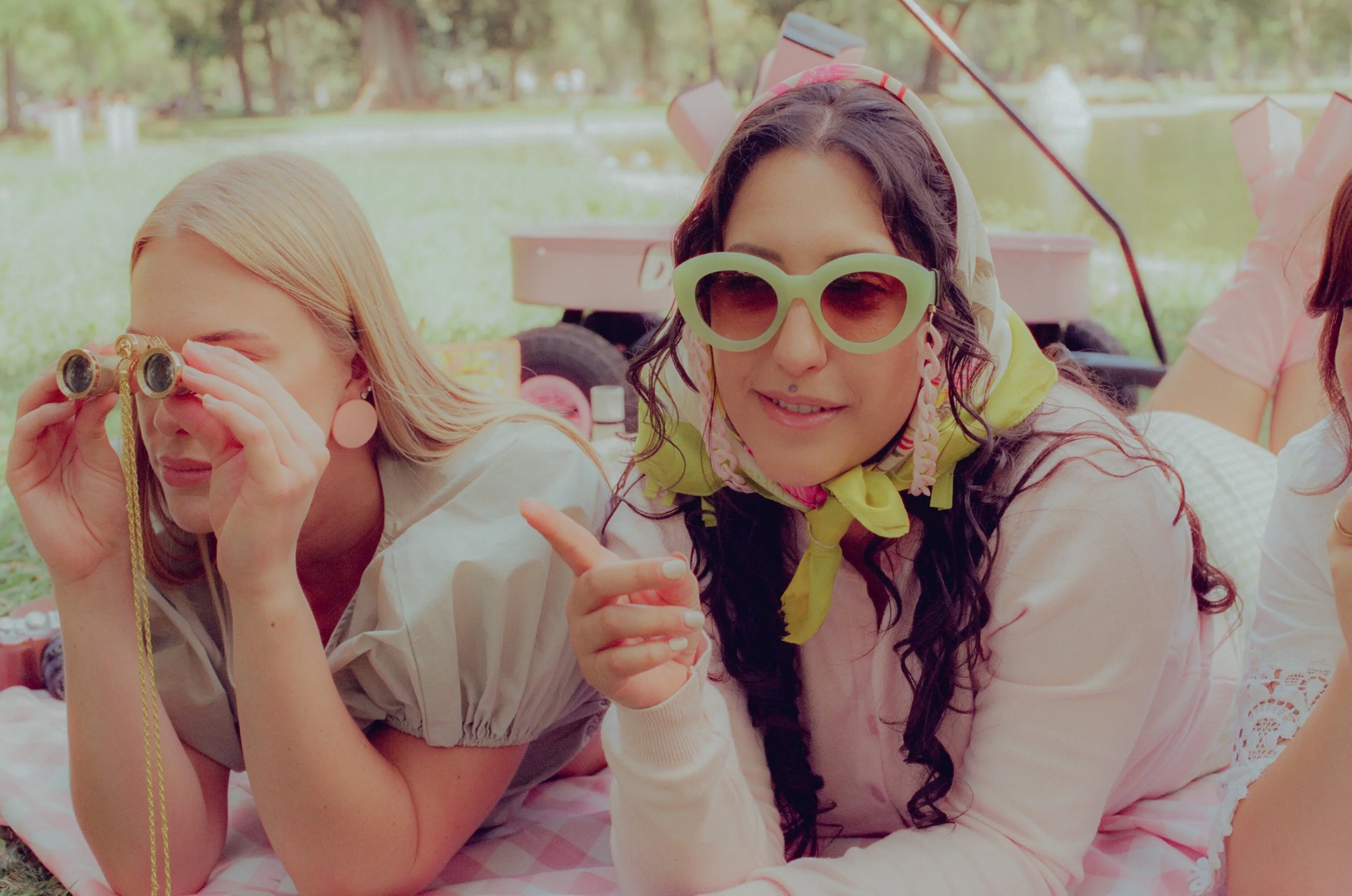 Dirty Bird Goes Bird Watching Film 159.jpg