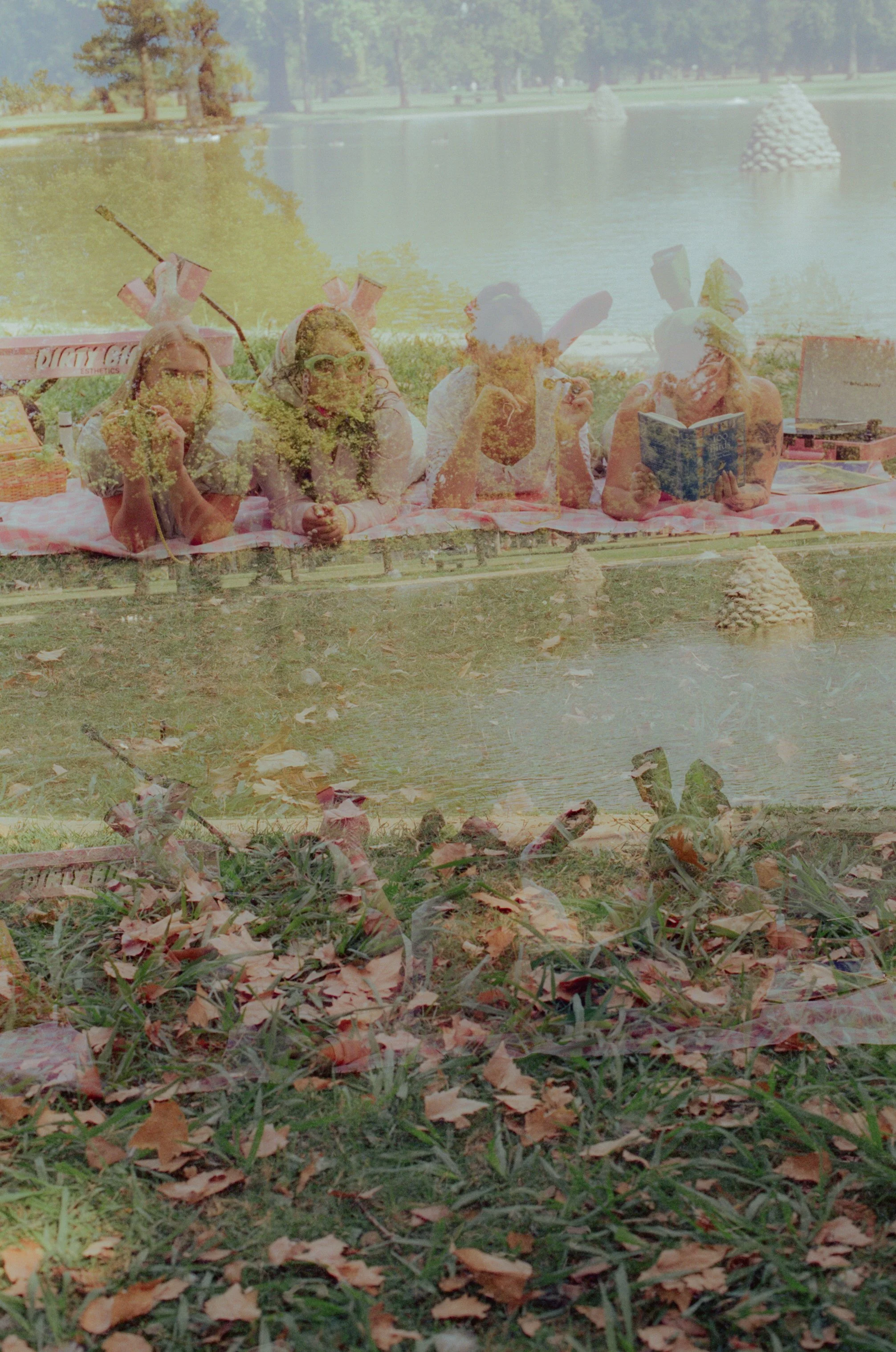 Dirty Bird Goes Bird Watching Film 162.jpg