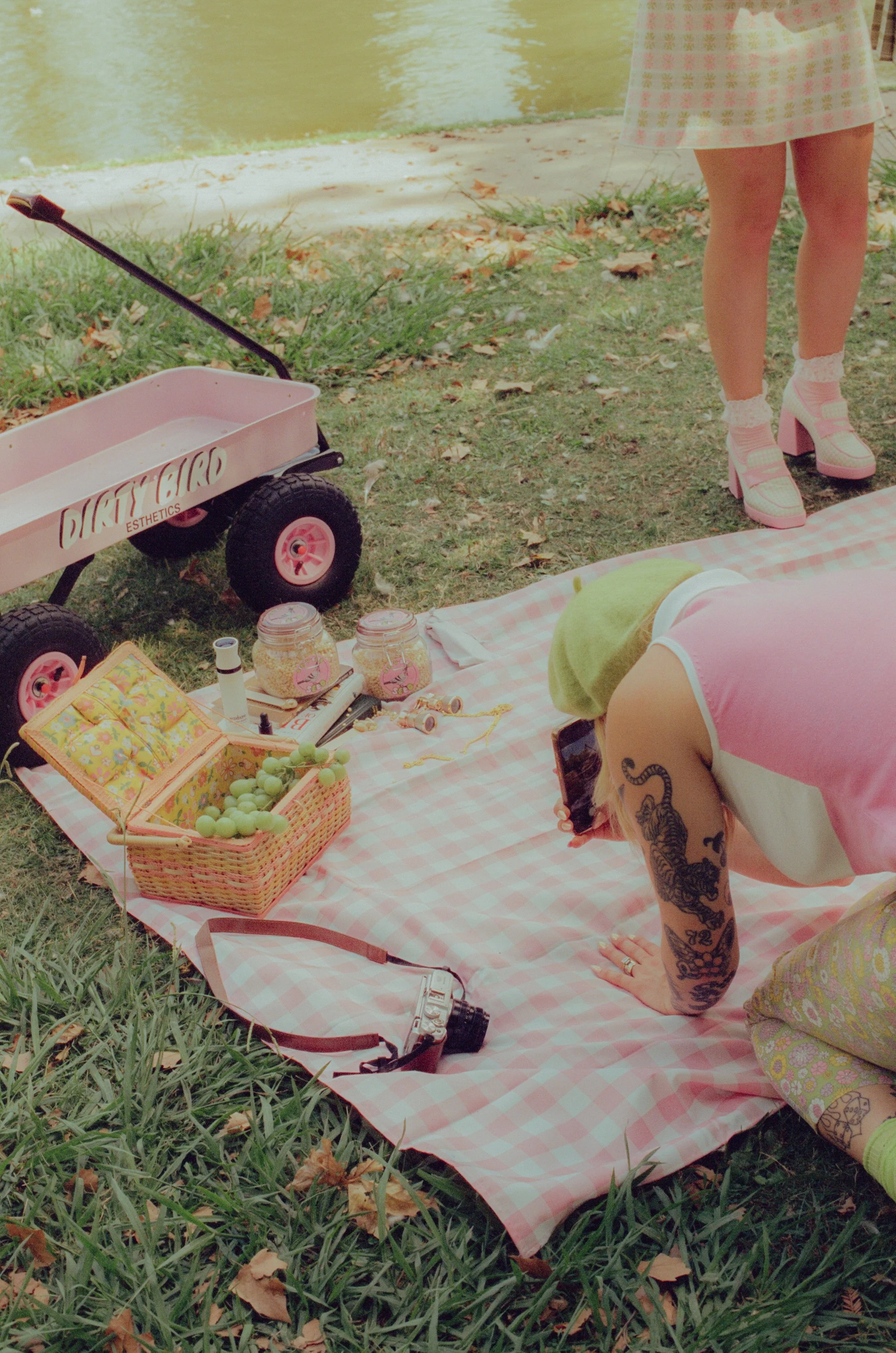 Dirty Bird Goes Bird Watching Film 163.jpg