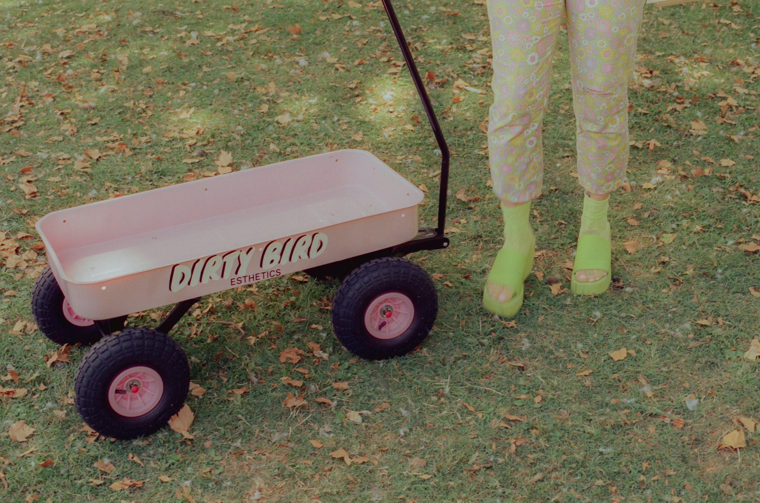 Dirty Bird Goes Bird Watching Film 165.jpg