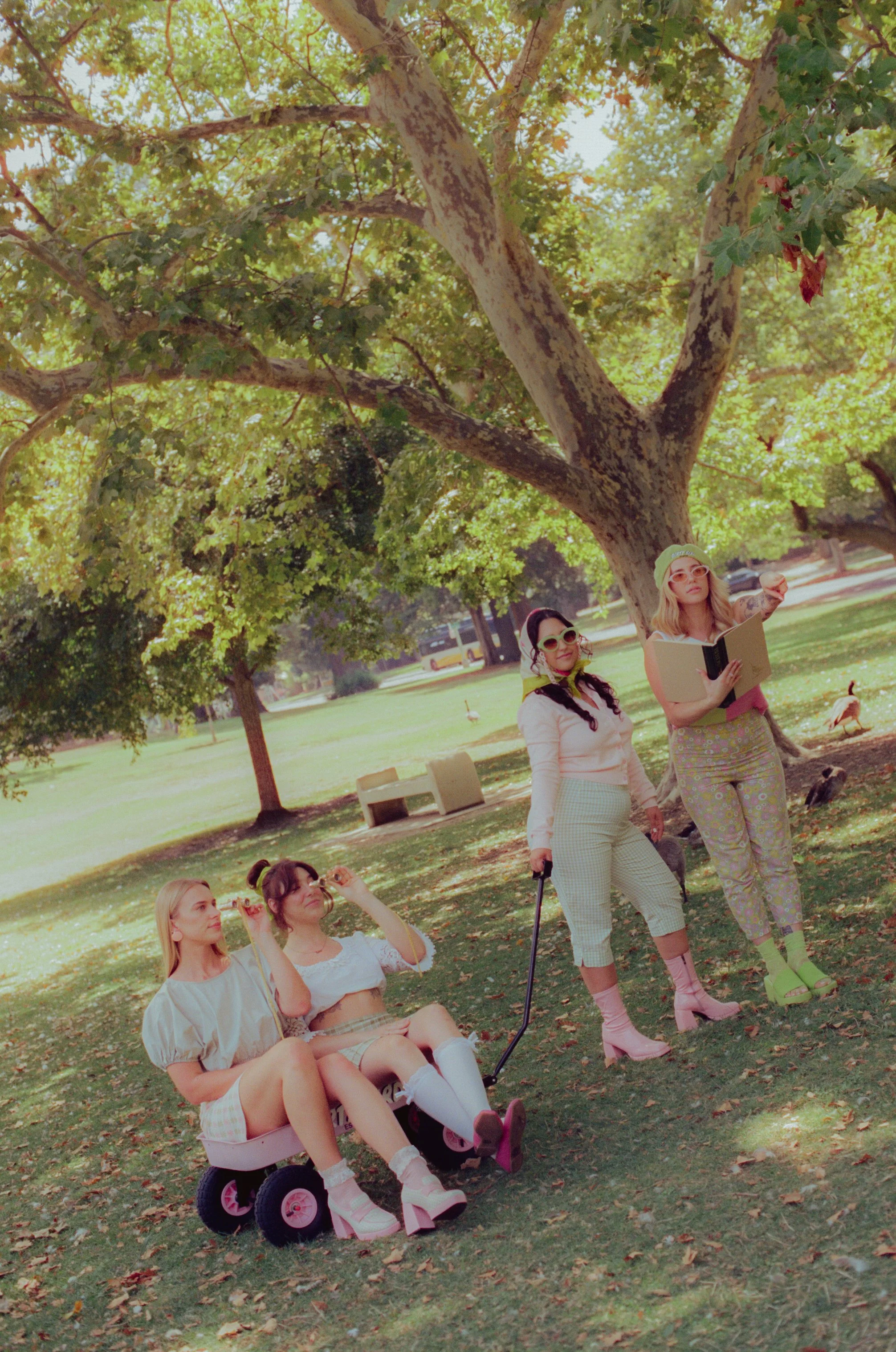 Dirty Bird Goes Bird Watching Film 167.jpg