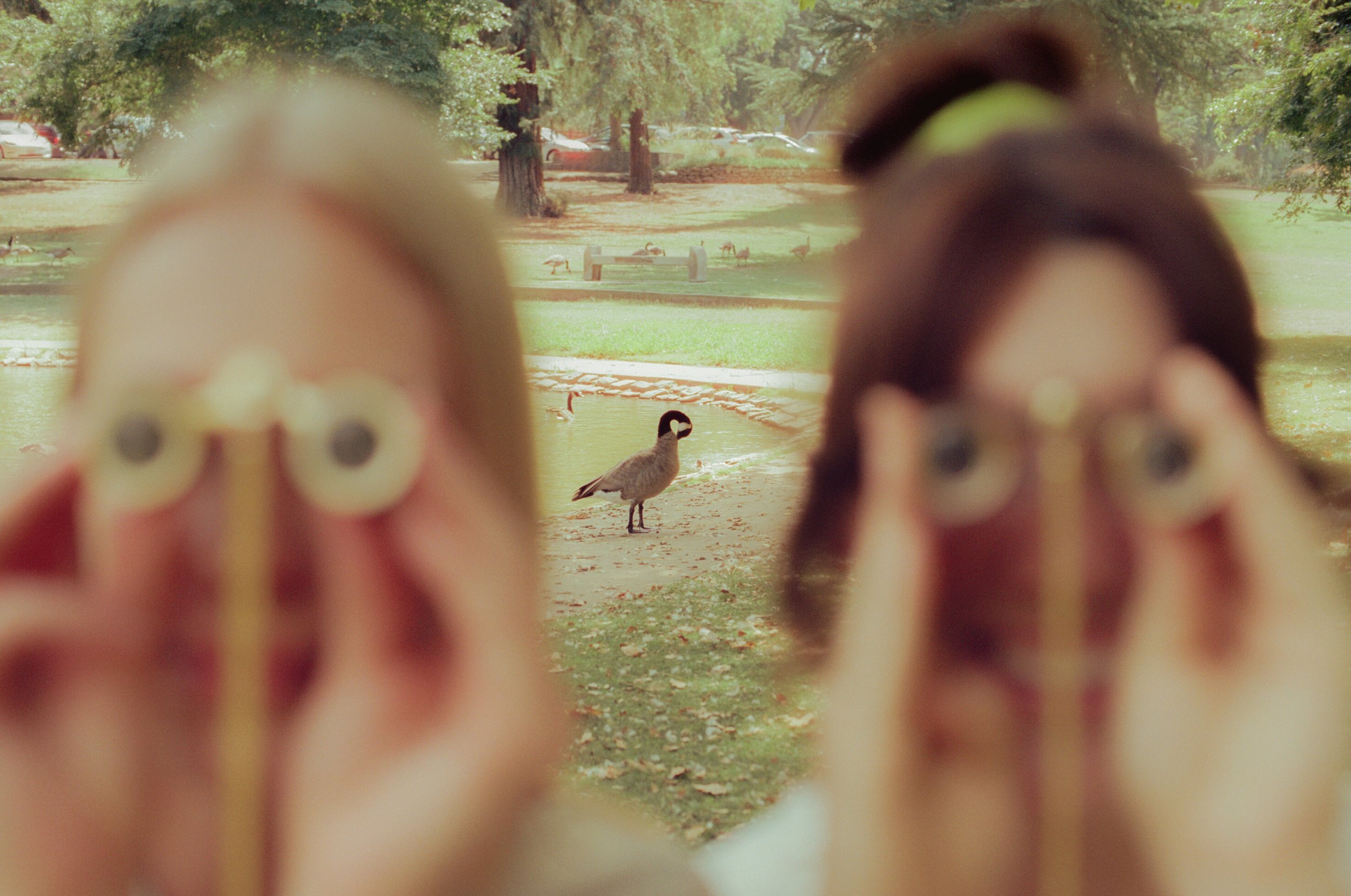 Dirty Bird Goes Bird Watching Film 170.jpg