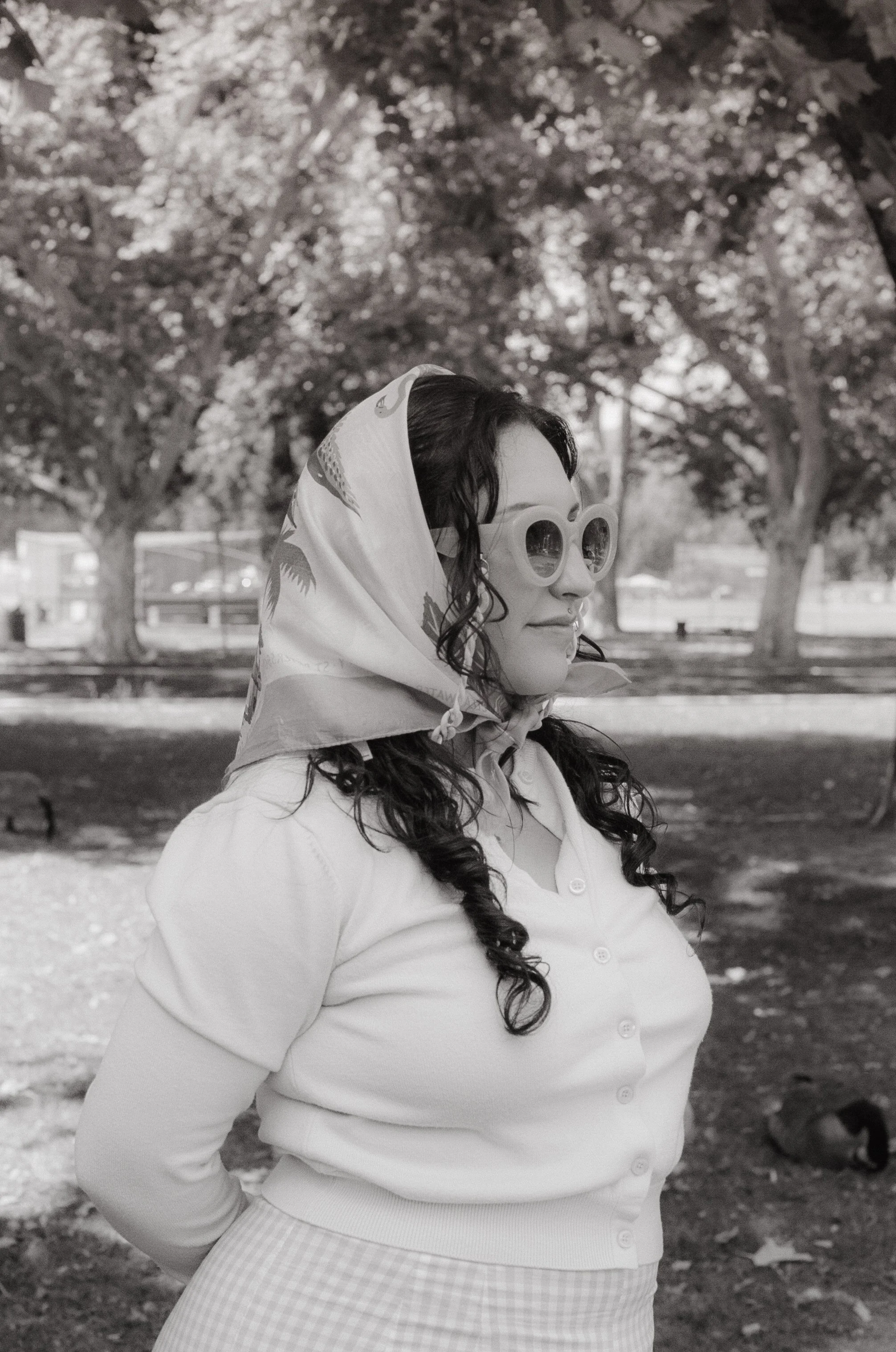 Dirty Bird Goes Bird Watching Film 173.jpg