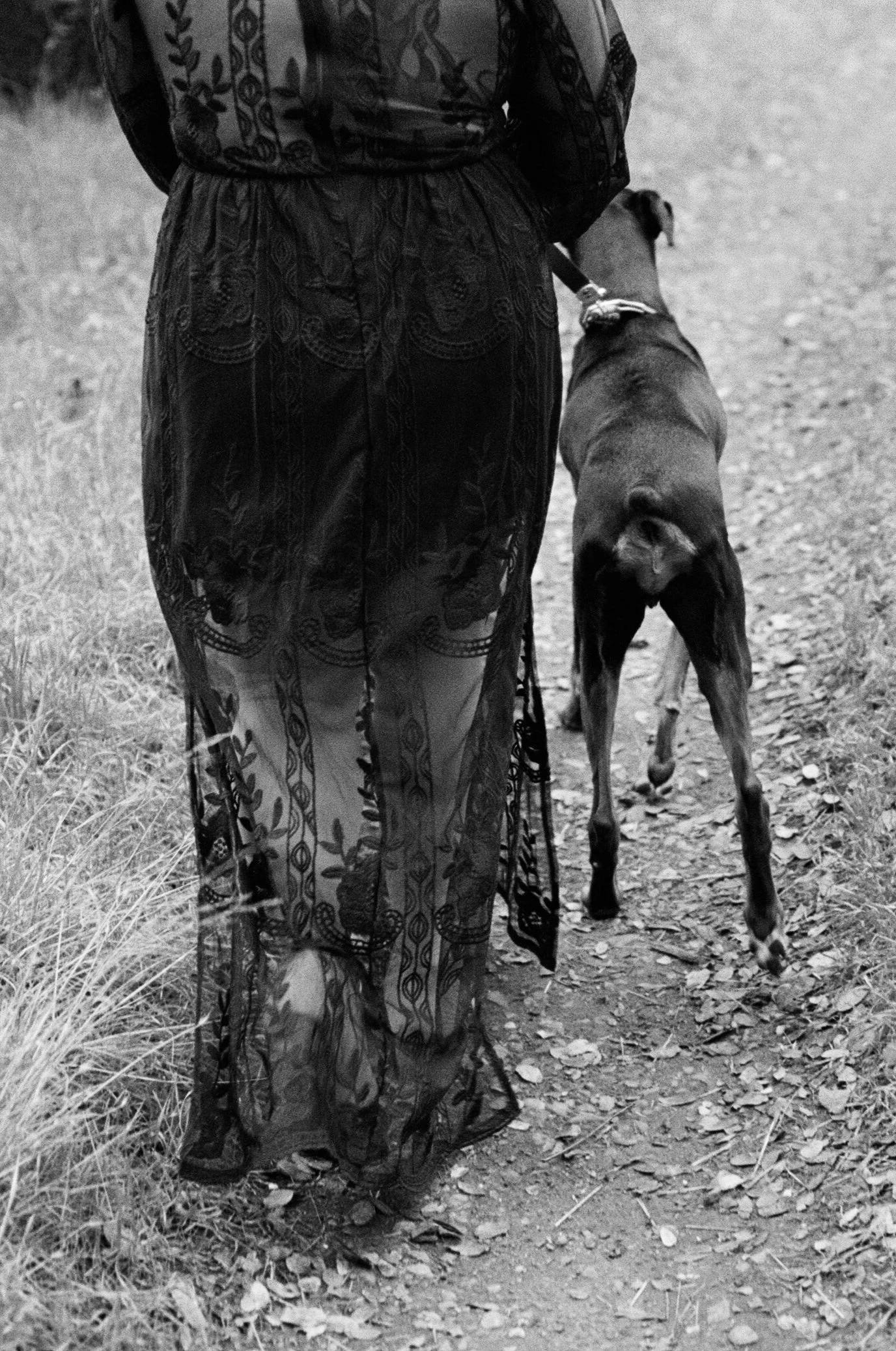 Sarah and Frankie 12.jpg