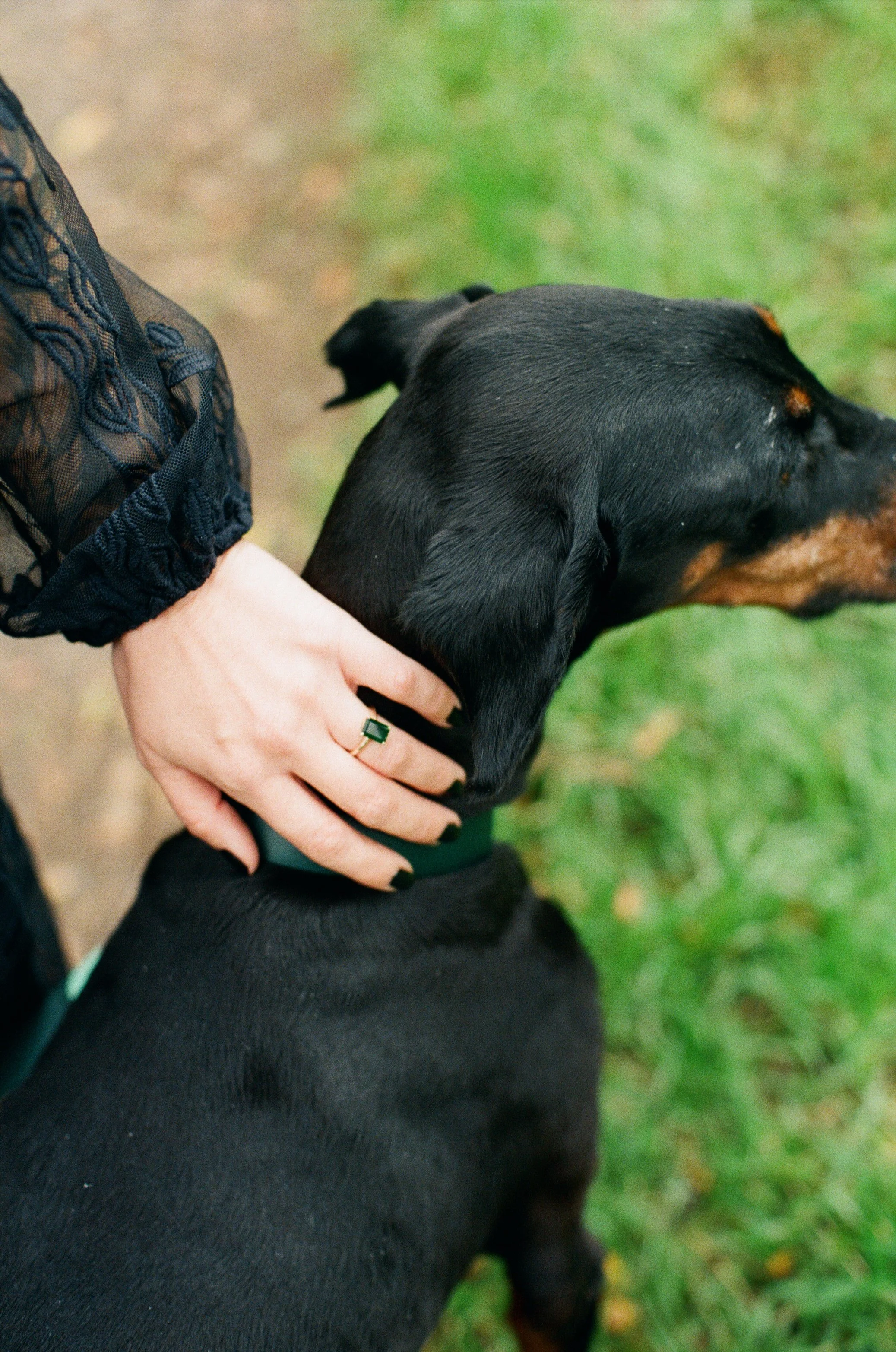 Sarah and Frankie 20.jpg